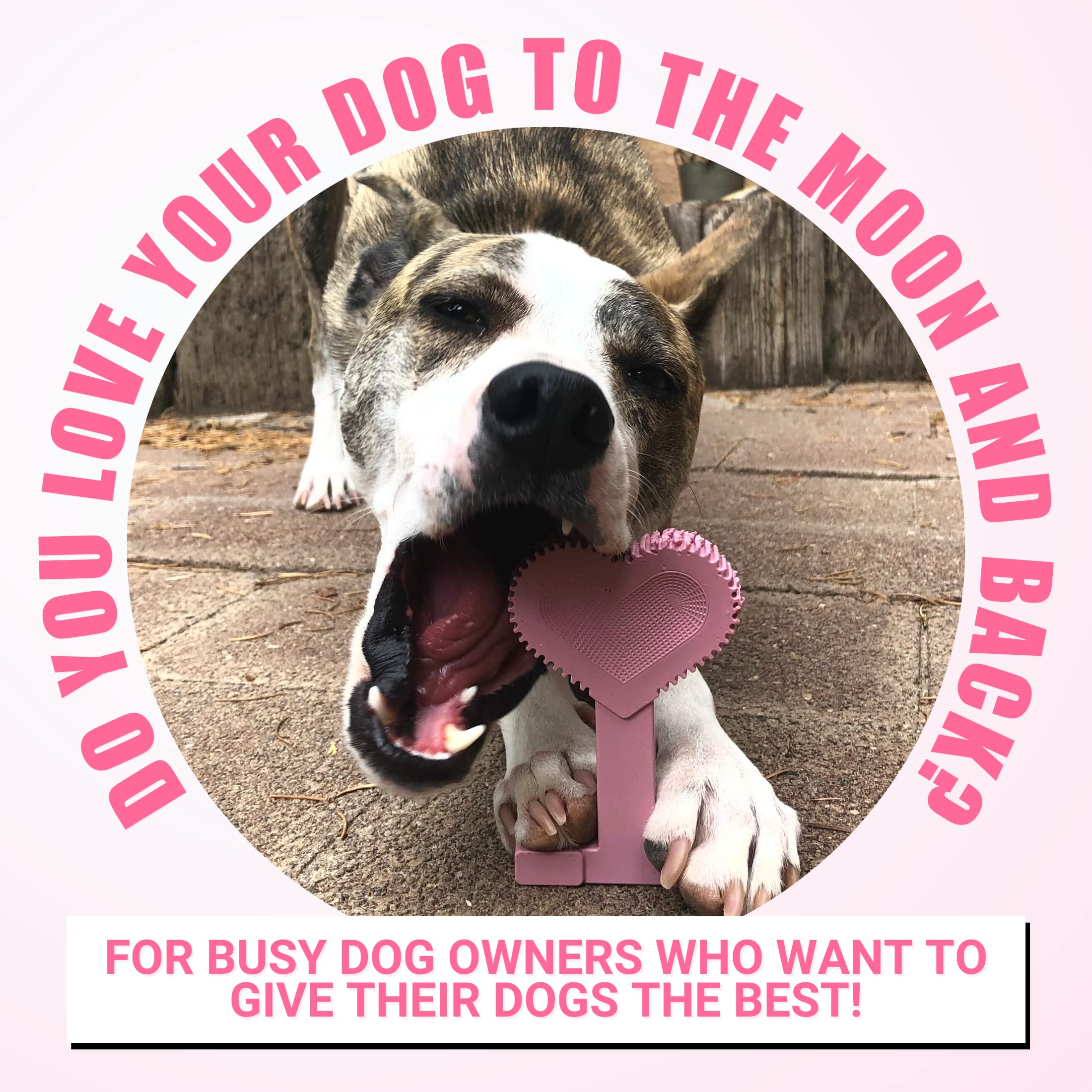 Bullibone Nylon Dog Chew Toy - Improves Dental Hygiene, Small Size, Peppermint Flavor