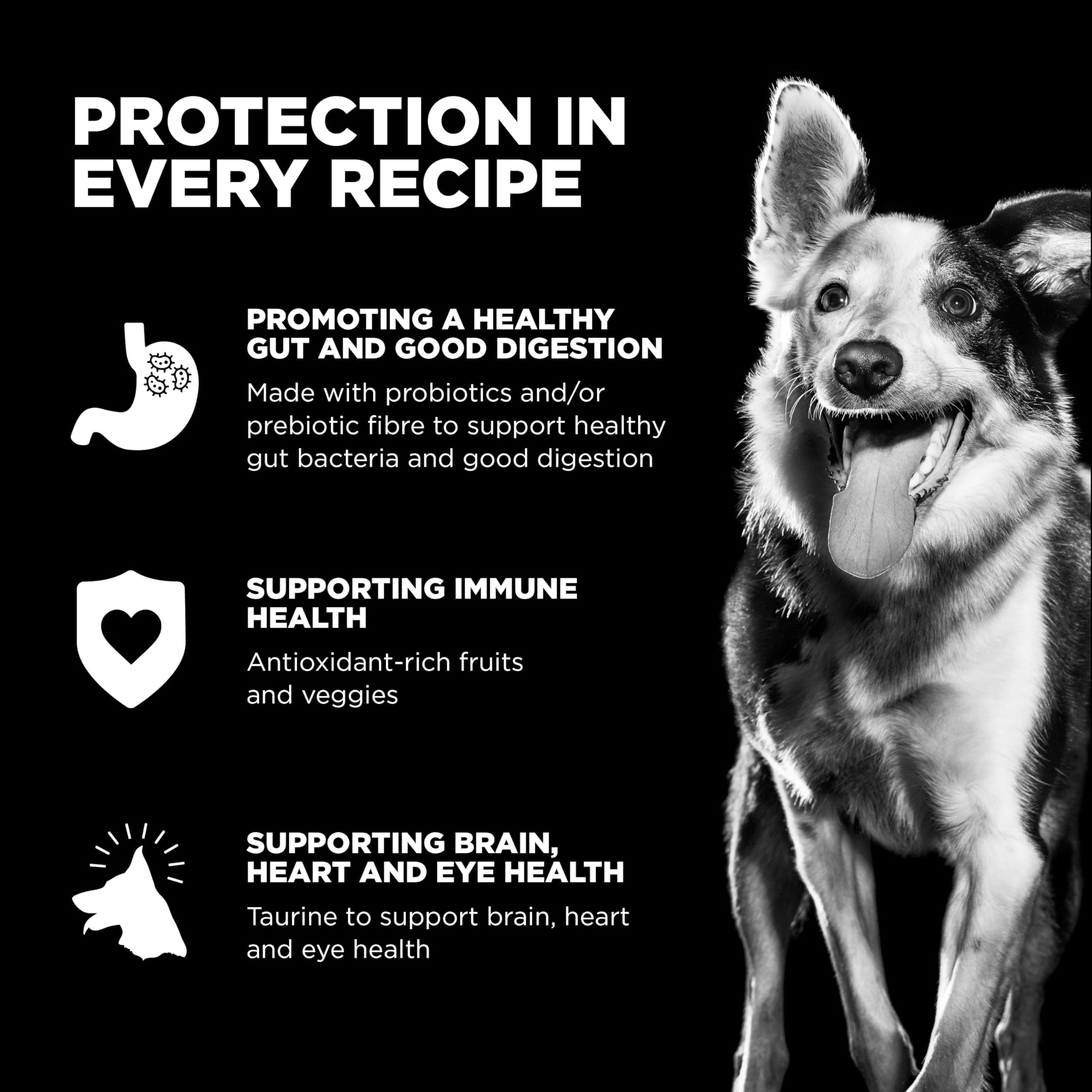 Go! Solutions Duck Grain-Free Dry Dog Food, Sensitive Stomach, 3.5 lb, Chicken-Free Kibble for Puppies, Adults & Seniors