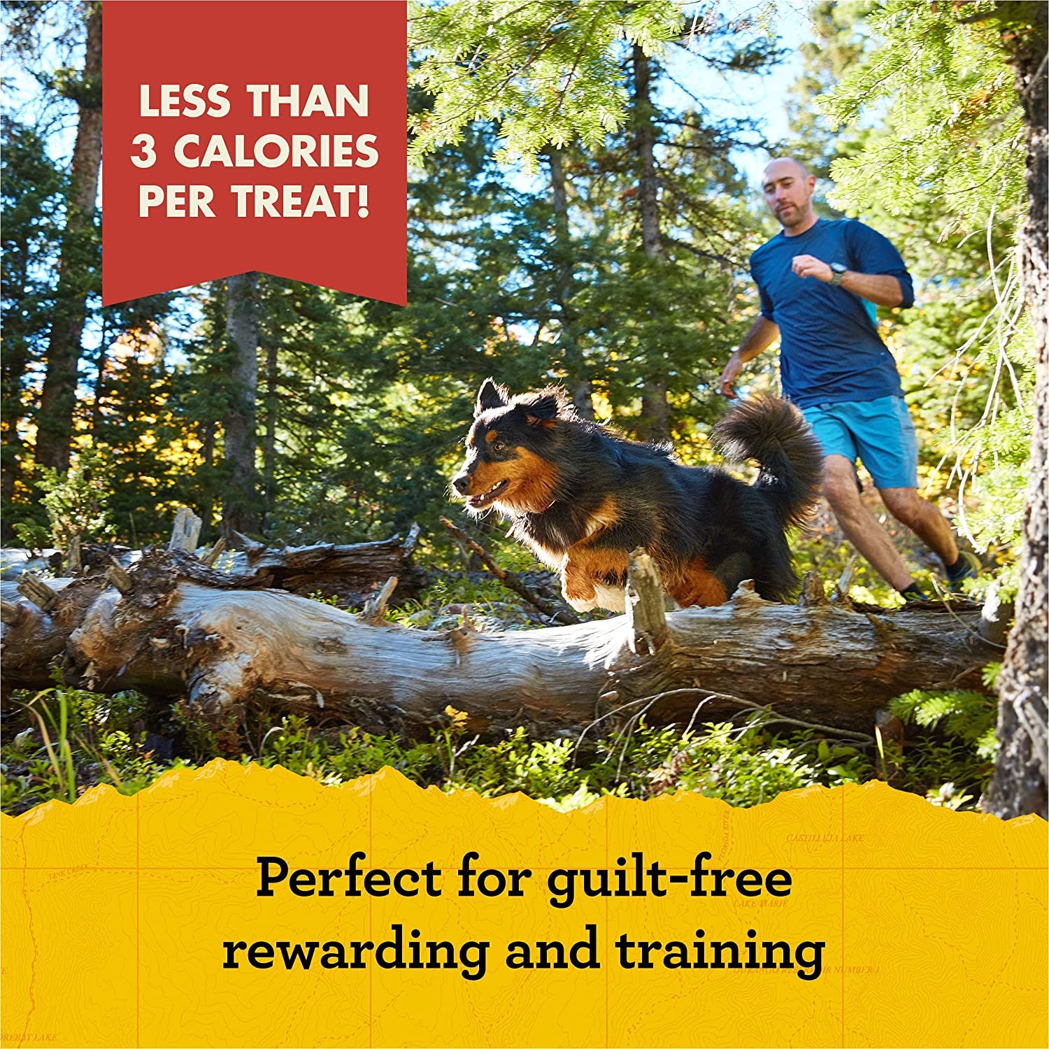 Zukes Mini Naturals Dog Training Treats, Soft Mini Dog Treats with Vitamins & Minerals, Made for All Breed Peanut Butter, 16 Ou