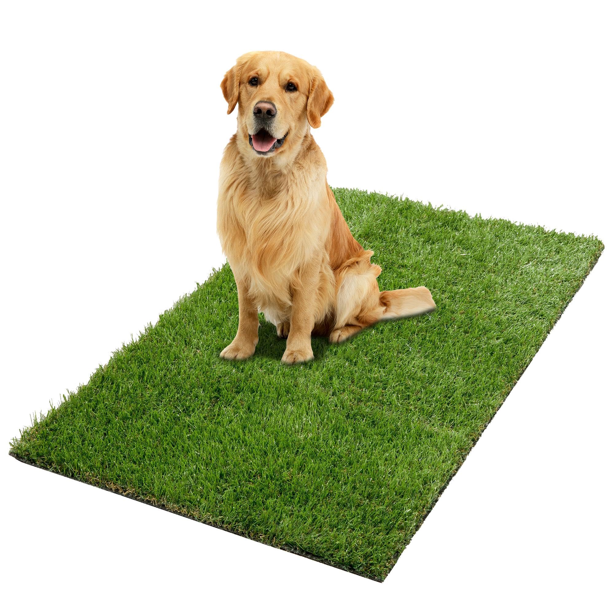 Ottomanson Artificial Grass Puppy Potty Training Pad, 2'7'' X 4' Reusable Pee Pad For Small Pets And Dogs