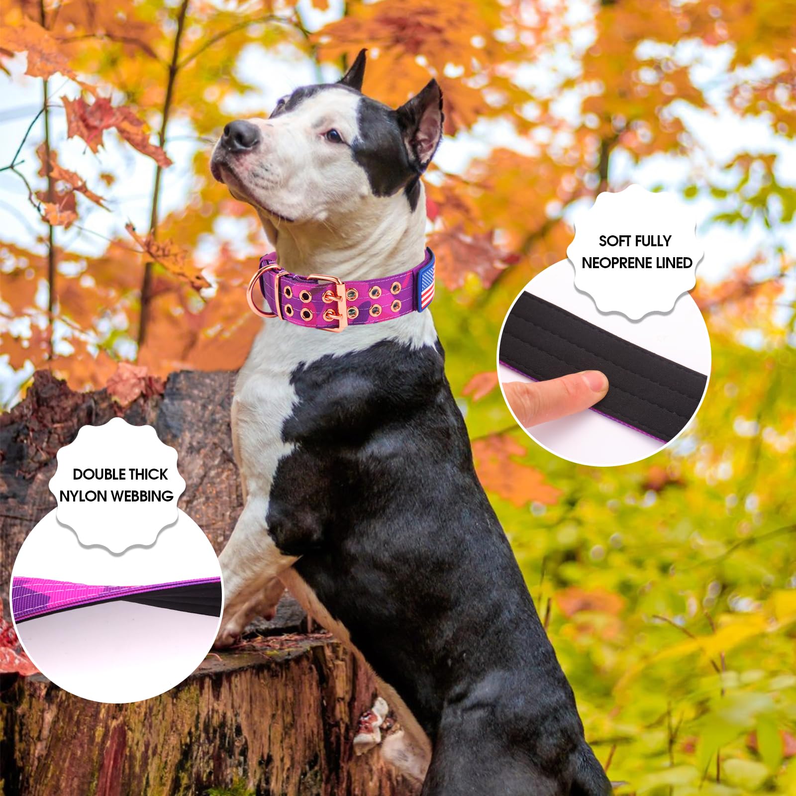 Yunleparks Heavy Duty Tactical Dog Collar With Neoprene Padded And Metal Buckle, Reflective Nylon For Medium To Large Dogs(Purpl