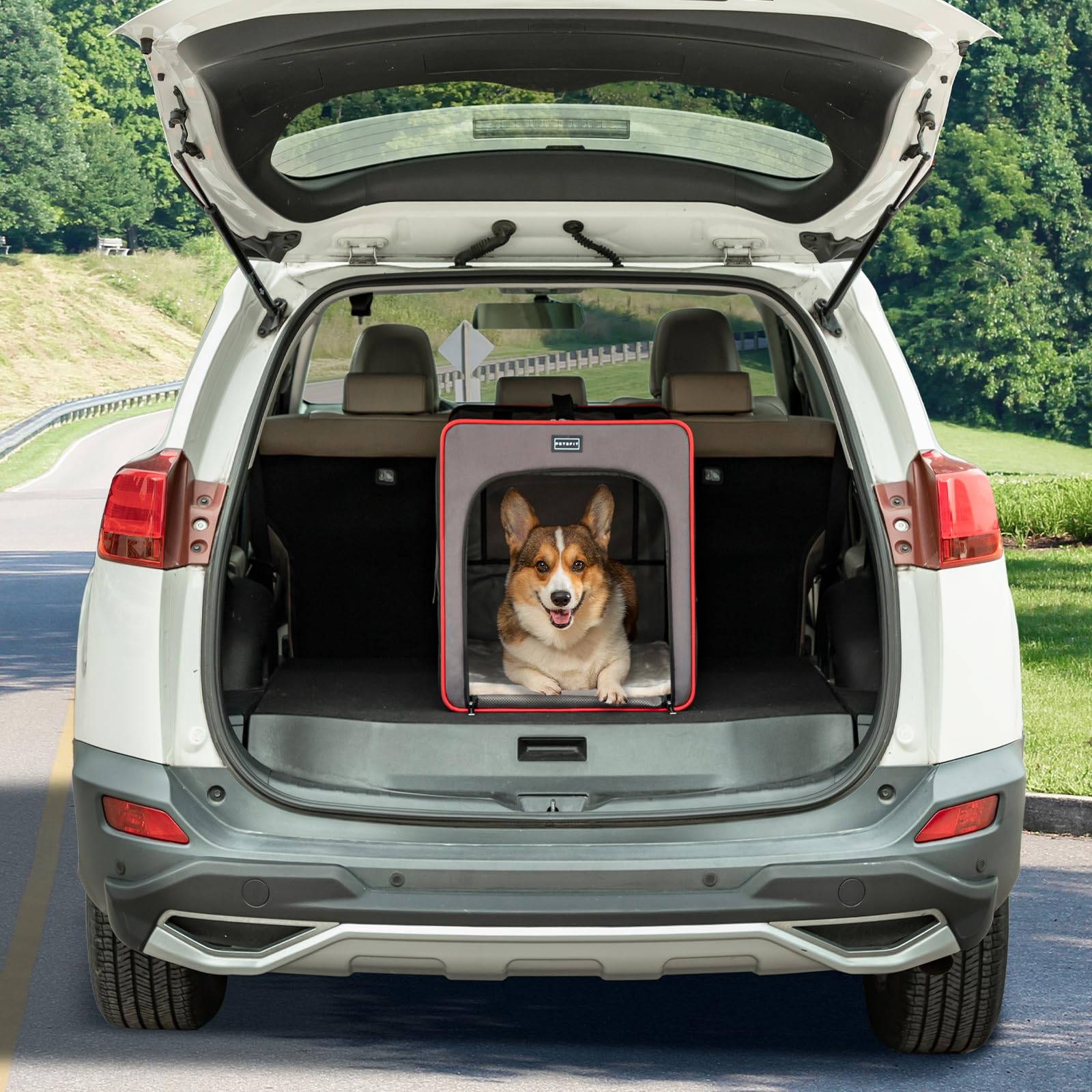 Petsfit Foldable Dog Crate, Small Portable Dog Crate - 21 Inch With Thicken Mat, Easy To Fold, Sturdy And Portable, Perfect For