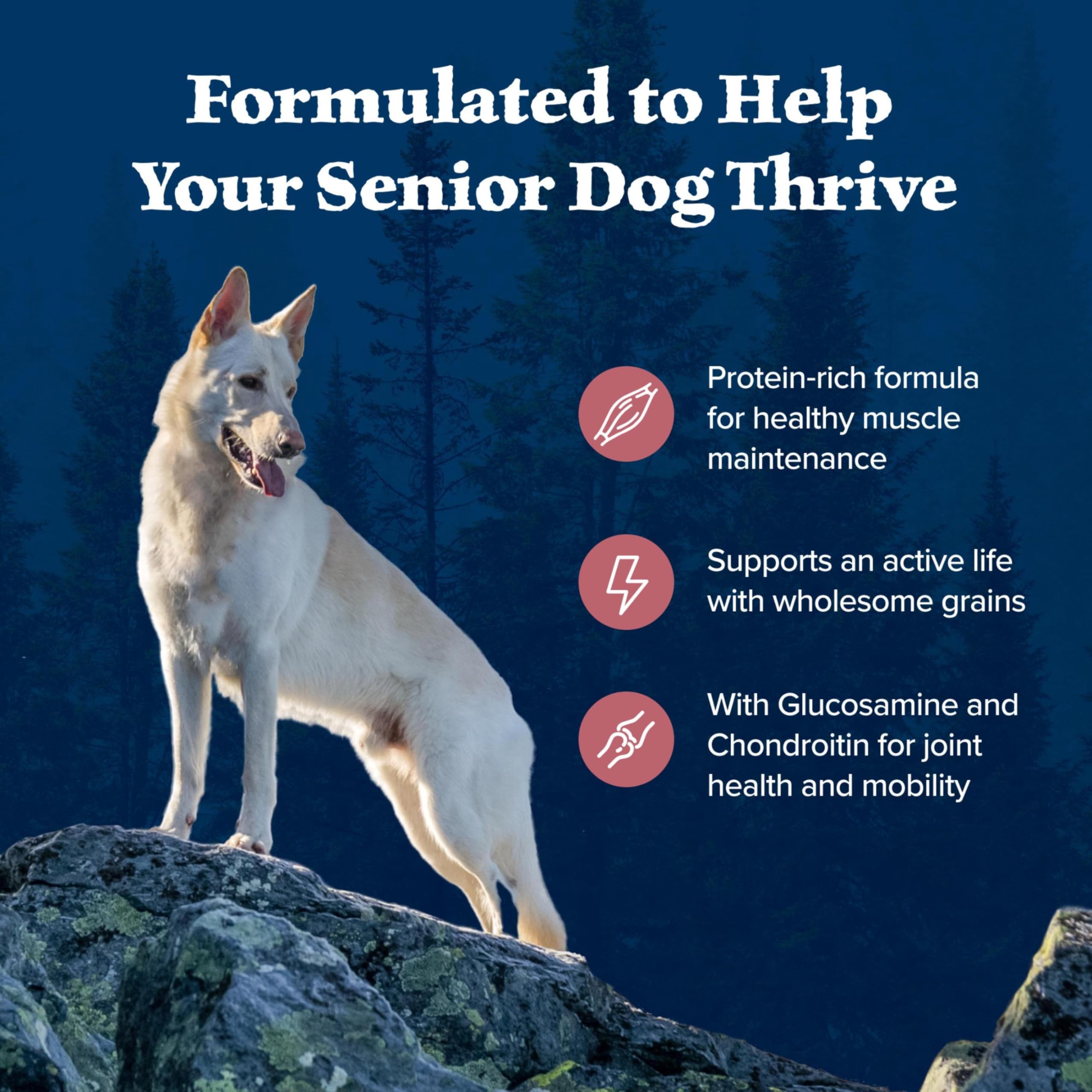 Blue Buffalo Wilderness High-Protein Natural Dry Food for Senior Dogs, Salmon Recipe, 24-lb. Bag