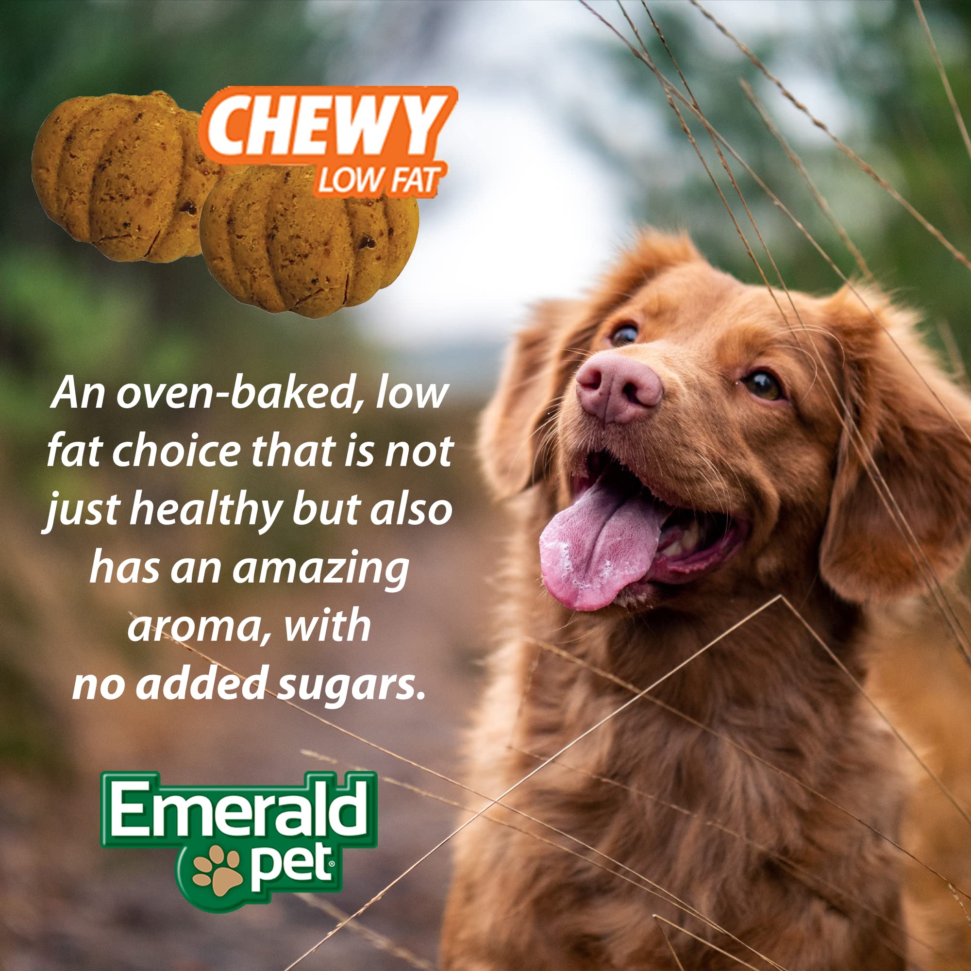 Emerald Pet Pumpkin Harvest Dog Treats - Low-Fat Chewy Natural Dog Treats with Pumpkin for Digestive Health - Meat Free, Poultry