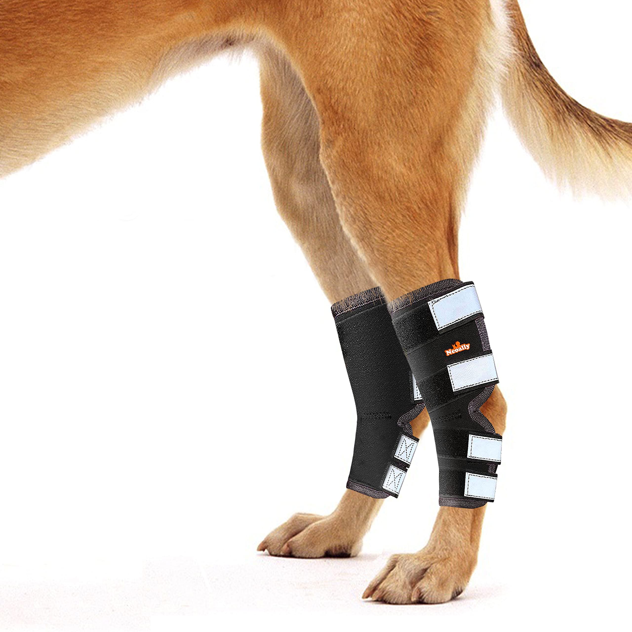 NeoAlly - Rear Leg Hock Brace, Dog Leg Brace for Rear Leg, Hock & Ankle Support for Large Dogs, Dog Brace for Torn Acl and Ccl, 