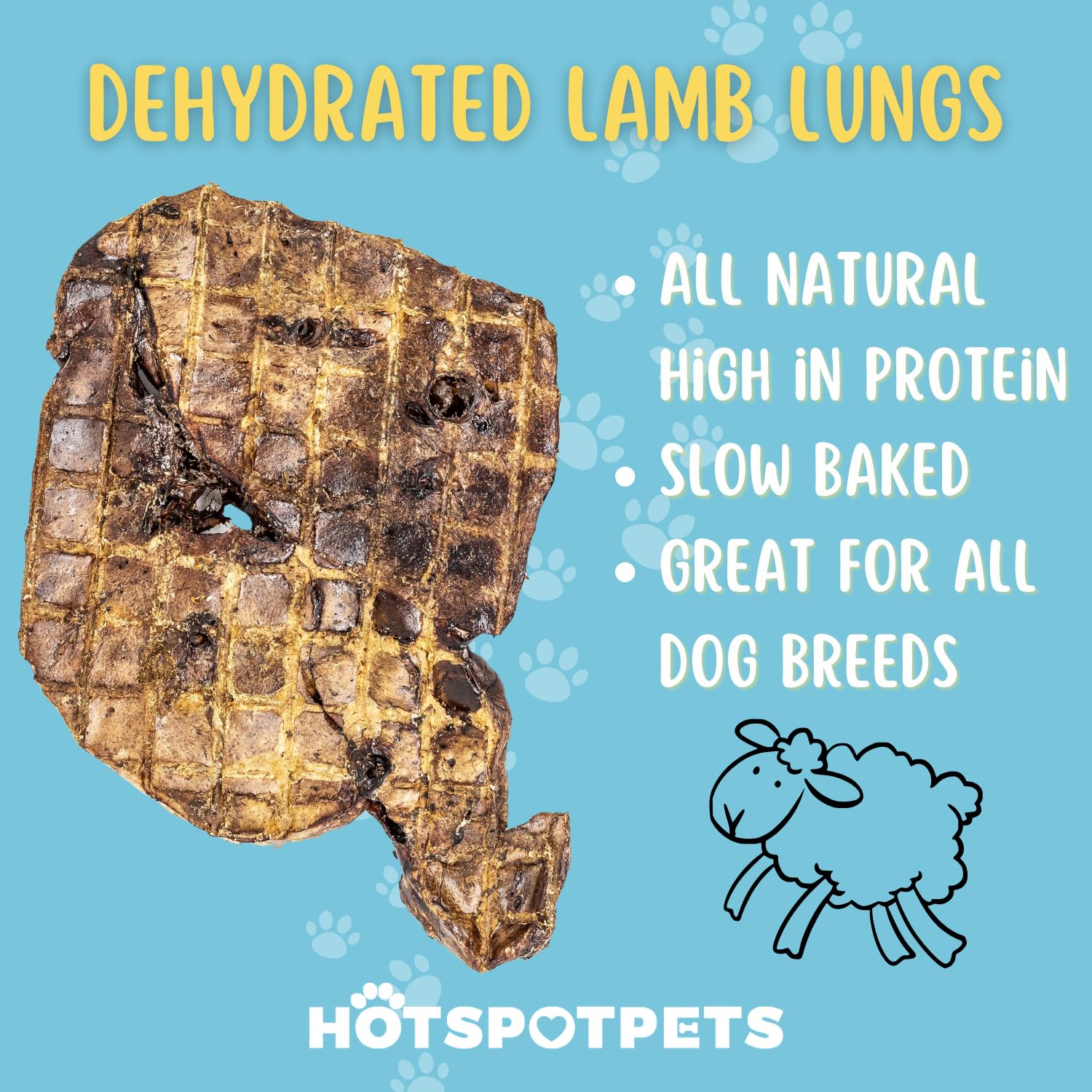 Hotspot Pets Premium Raw Single Ingredient Lamb Lung Dog Treats - 1lb Big Bag All-Natural, Made in USA - High Protein, Low Fat -