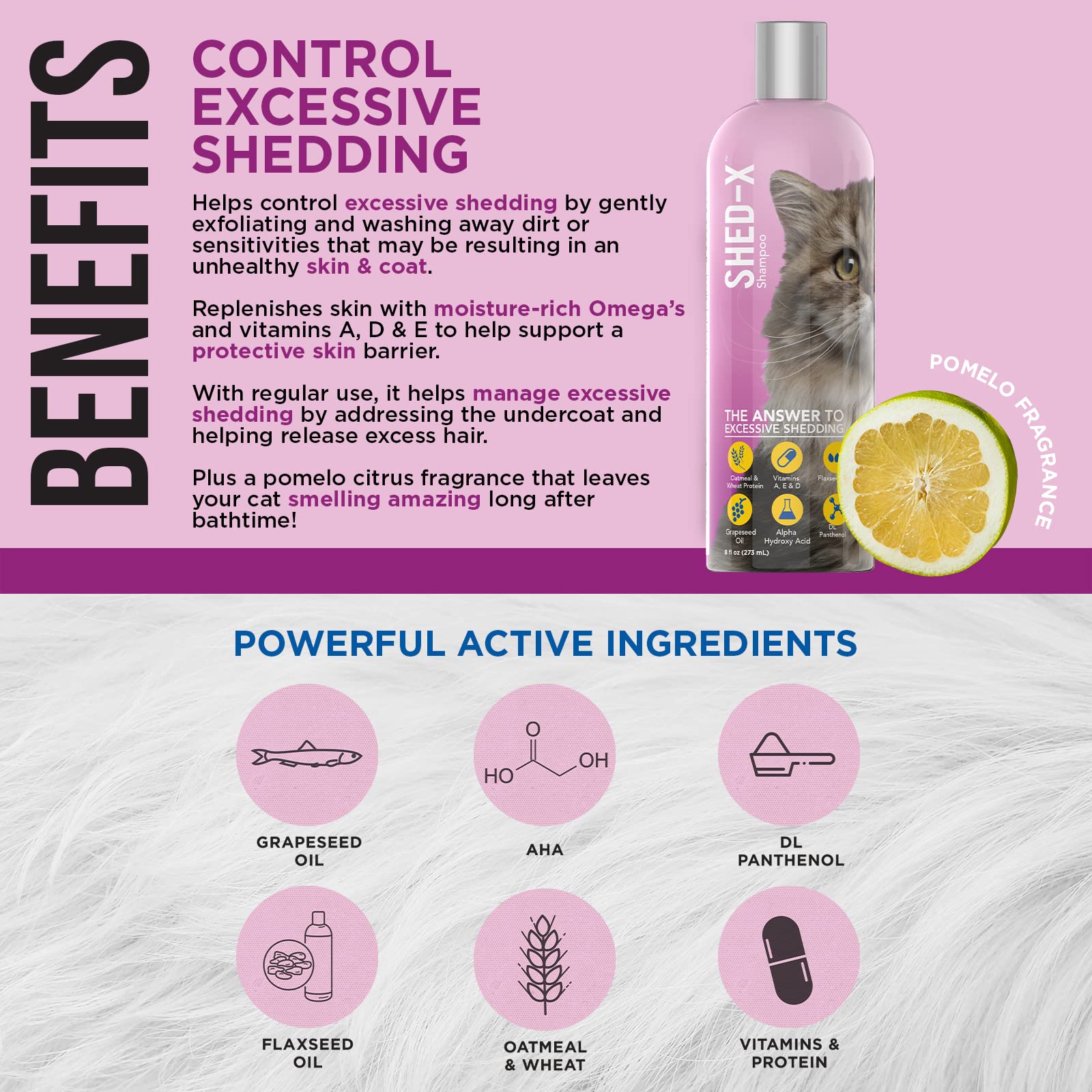Shed-X Shed Control Shampoo for Cats, 8 oz - Reduce Shedding - Shedding Shampoo Infuses Skin and Coat with Vitamins and Antioxid