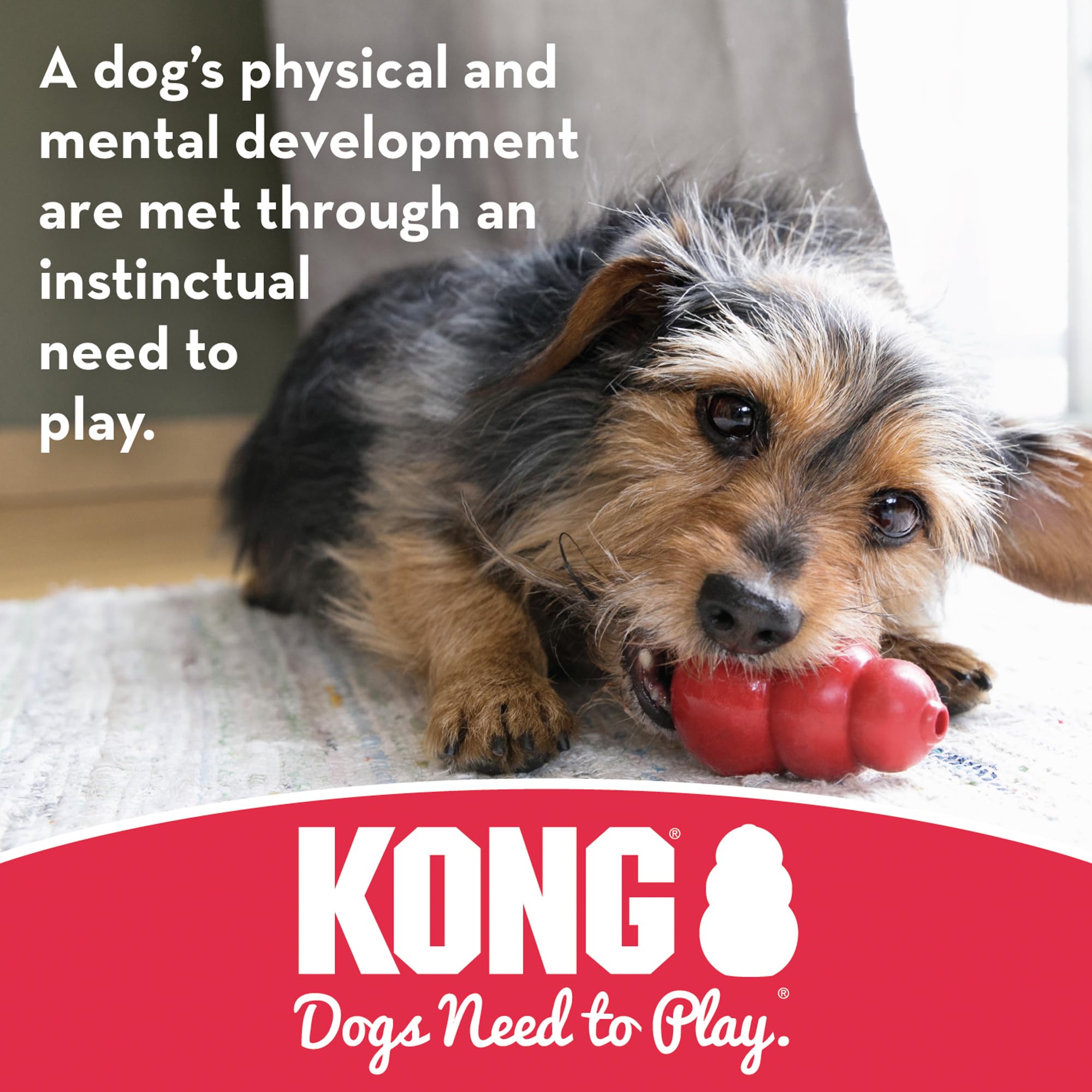 Kong Puppy Goodie Bone Dog Toy, Medium, Color Varies