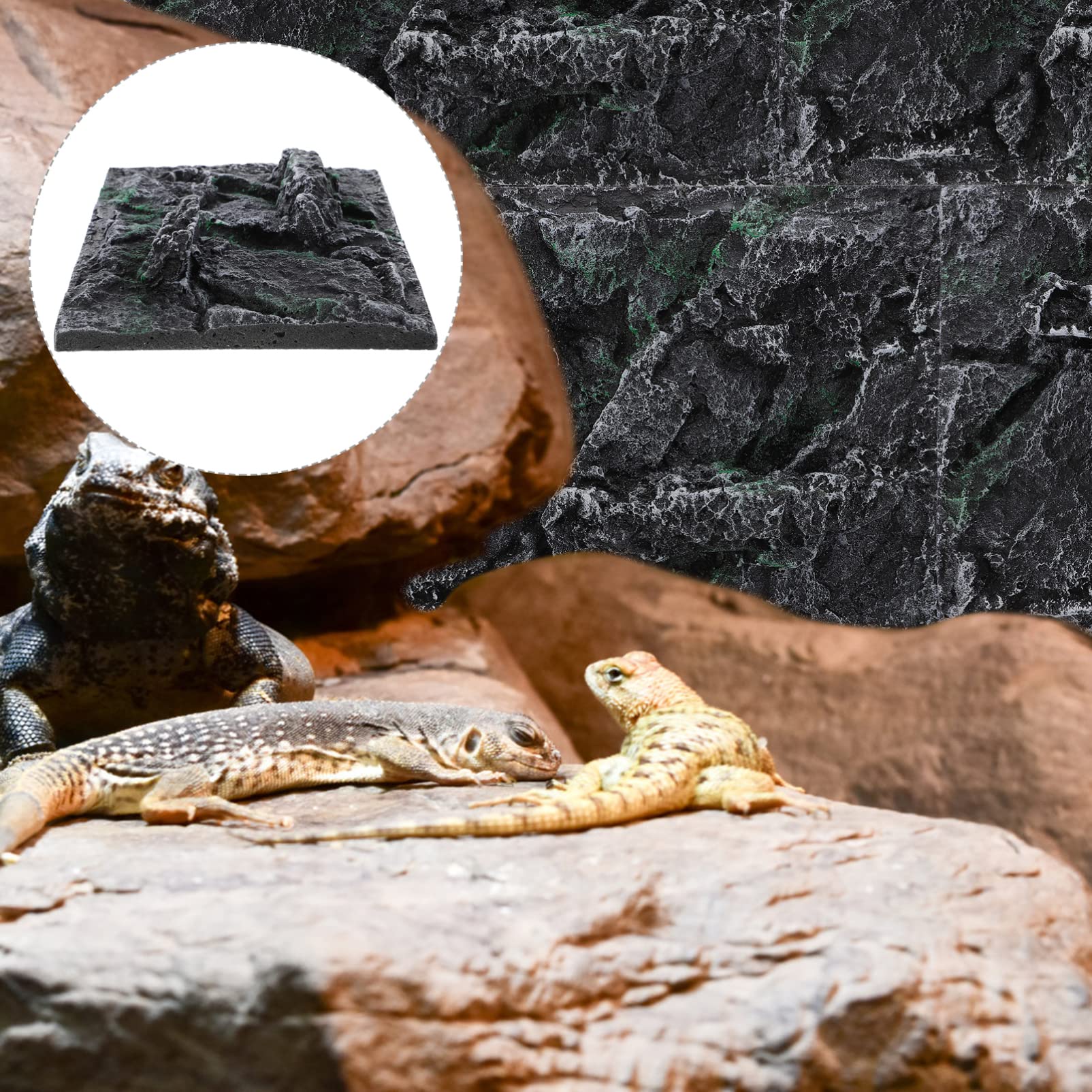 Hohopeti 1Pc Simulation Aquarium Background Board for Reptile Tank Decoration Emulation Board for Tortoise and Turtle Landscapin
