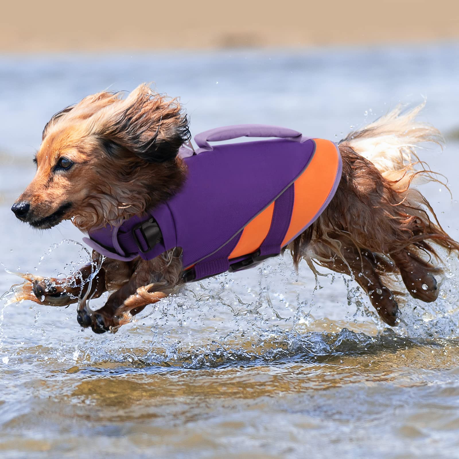 Queenmore Dog Life Jacket,Dog Life Vest For Swimming Boating,Life Jackets For Large Medium Dogs,Ripstop Pet Life Vests With Stro