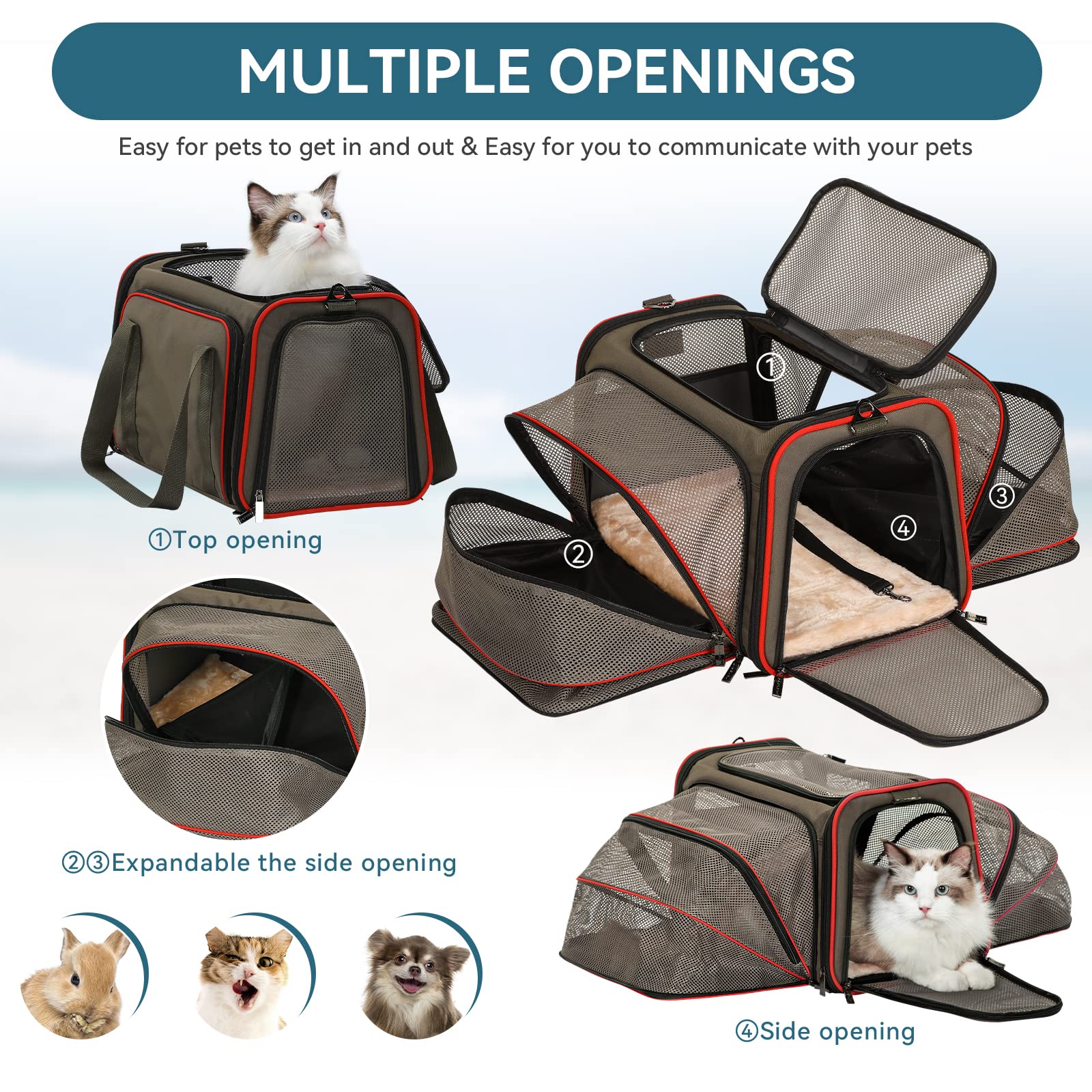 Petsfit Expandable Pet Carrier for 2 Cats, 19"x12"x12", Gray Brown, Soft Cushion, Safety Rope, Model 6734719