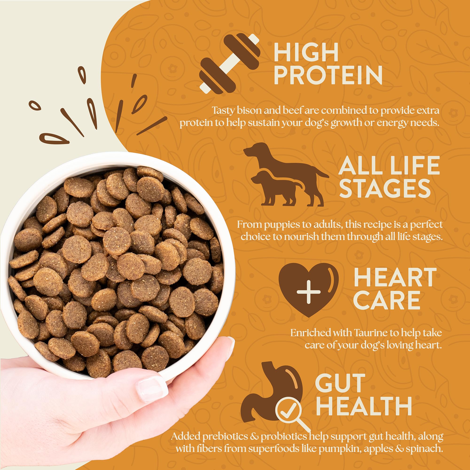 Earthborn Holistic Great Plains Feast Bison Meal & Vegetables Grain-Free Dry Dog Food 25 lb