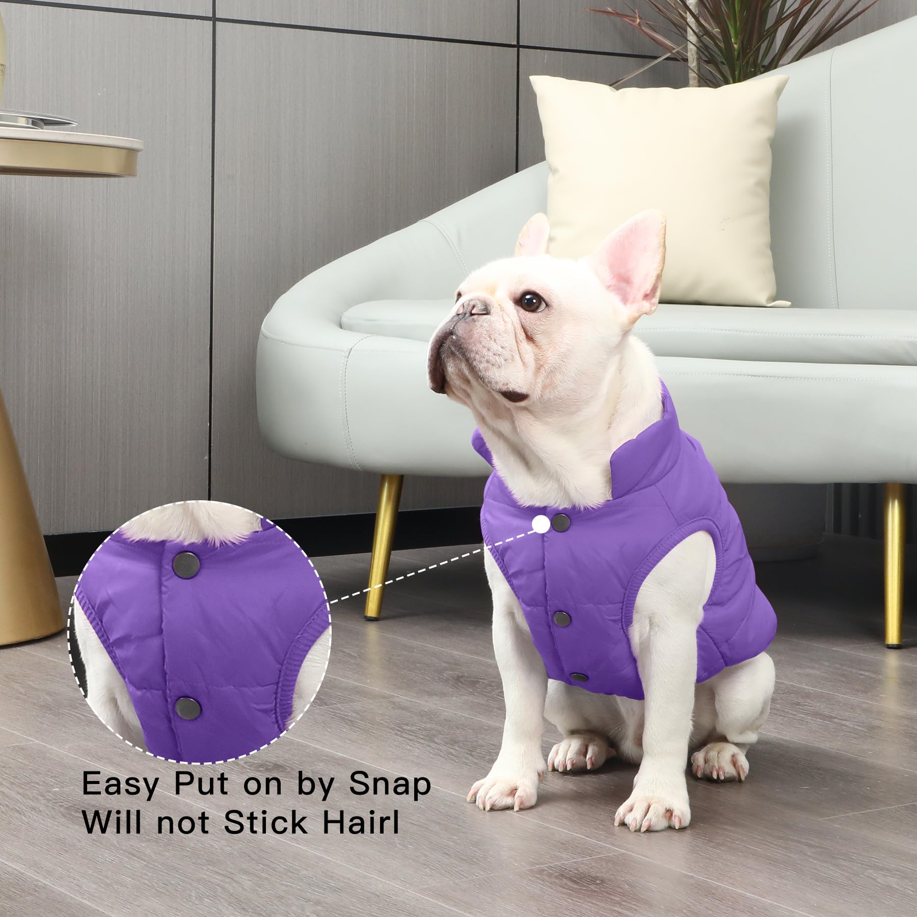 Joydaog 2 Layers Fleece Lined Warm Dog Jacket For Winter Cold Weather,Soft Windproof Large Dog Coat,Purple Xxl