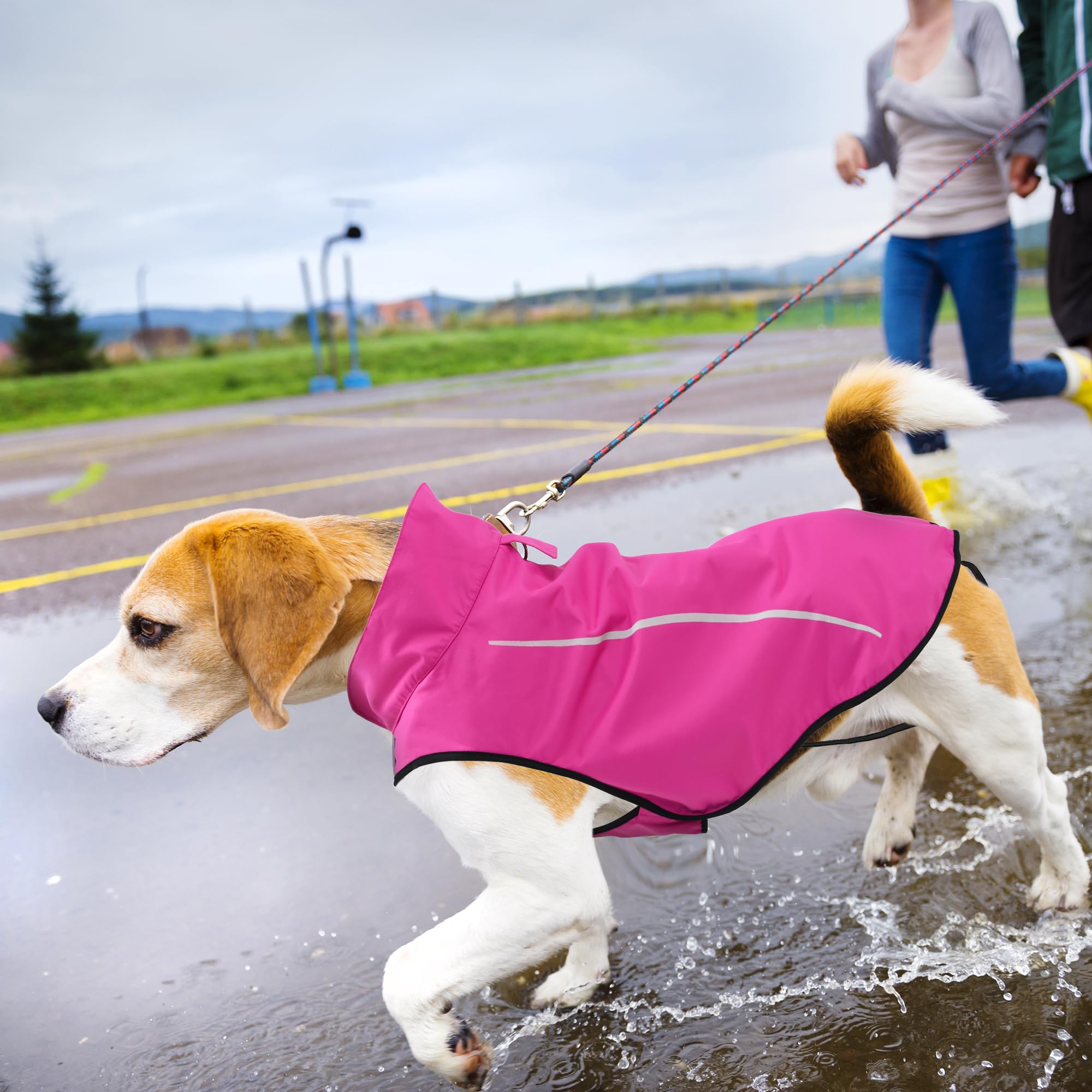 Mile High Life Dog Raincoat, Adjustable Waterproof Reflective Rain Jacket For Small Medium Large Dogs, Lightweight Breathable Pe