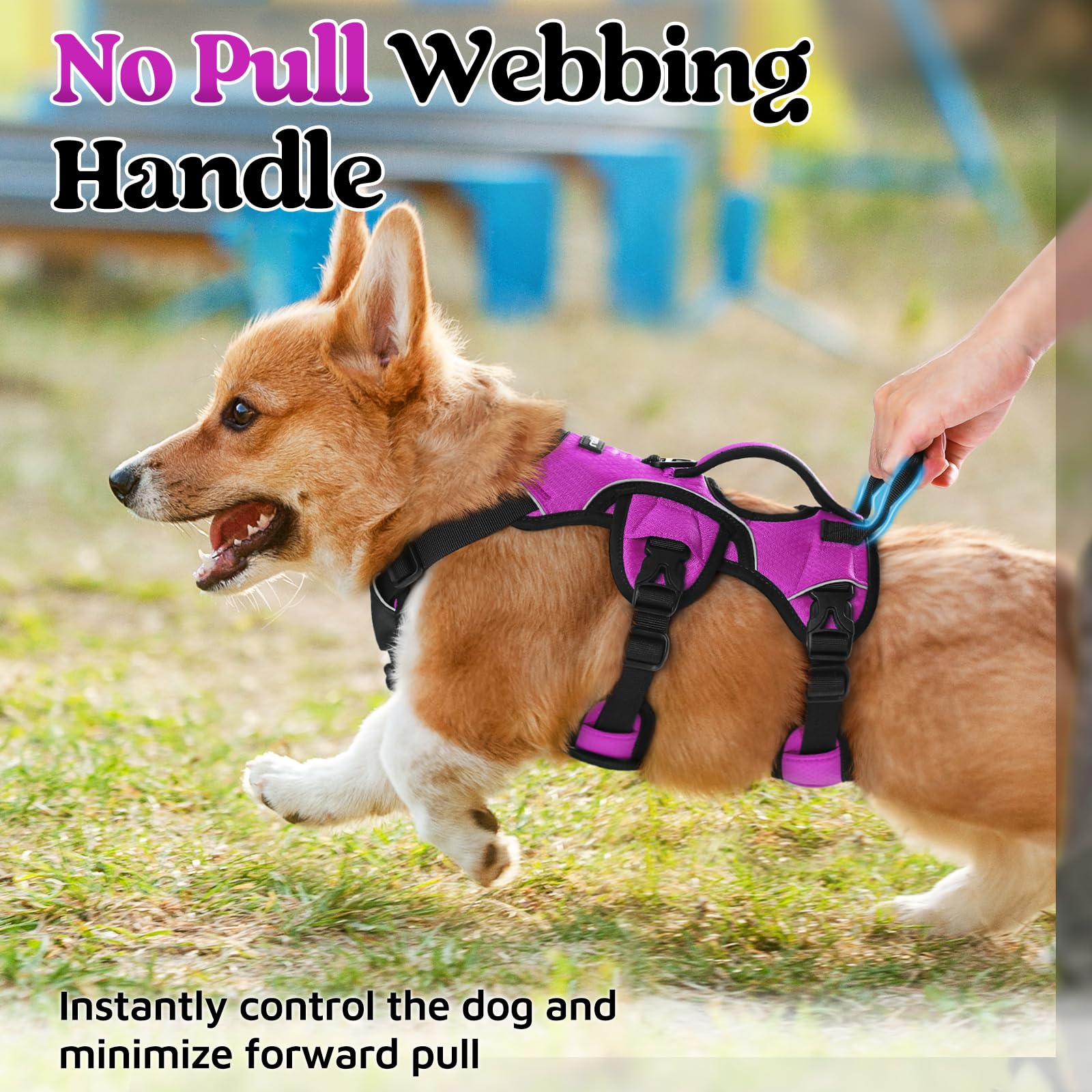 Rabbitgoo Escape Proof Dog Harness, Soft Padded Full Body Pet Harness, Reflective Adjustable No Pull Vest With Lift Handle And L