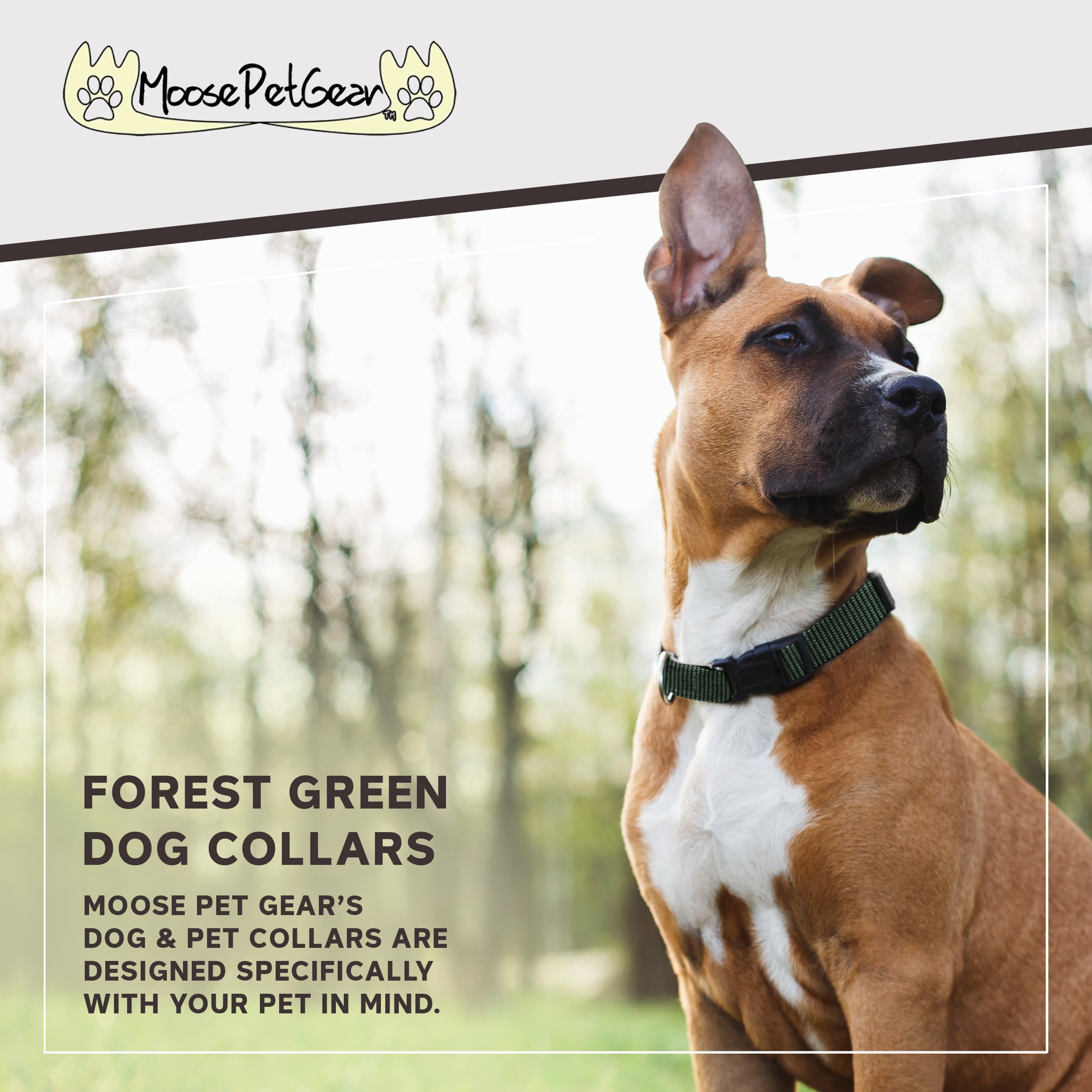 Moose Pet Wear Classic Dog Collar - Adjustable Pet Collars, 1 Inch Wide, Medium, Forest Green