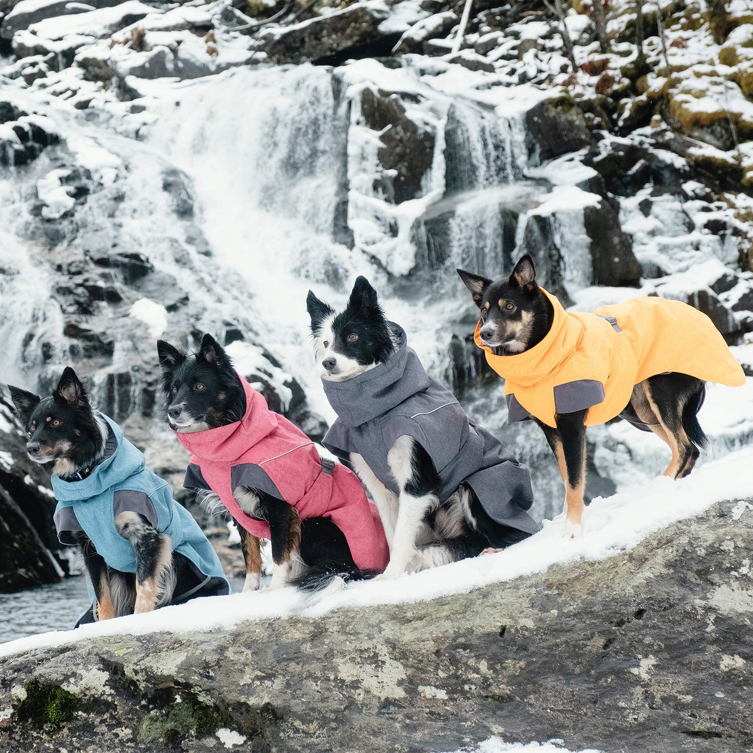 Hurtta Expedition Parka, Winter Dog Coat, Blackberry, 12 In