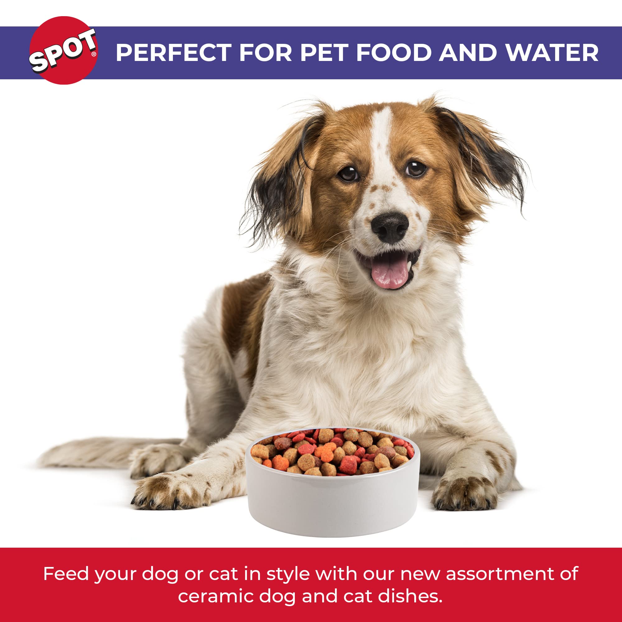 Spot Ceramic Crock Small Animal Dish (2 Pack)2