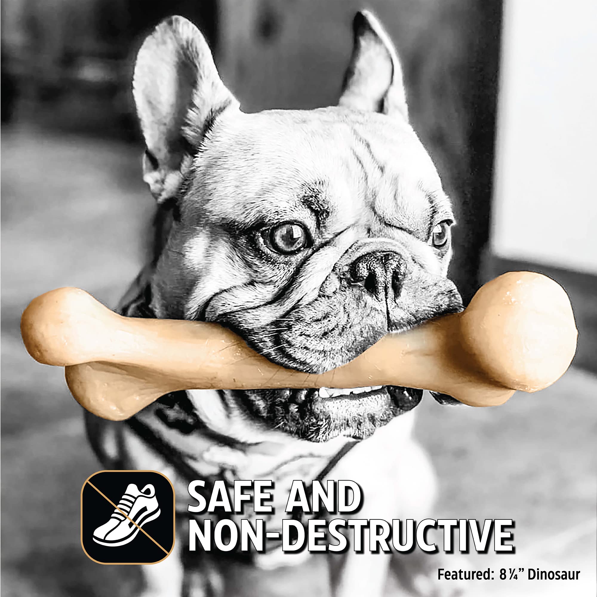 Pet Qwerks Dinosaur Barkbone - Wood Dog Bone For Moderate Chewers - Peanut Butter Flavor - 8.5', Small Breeds
