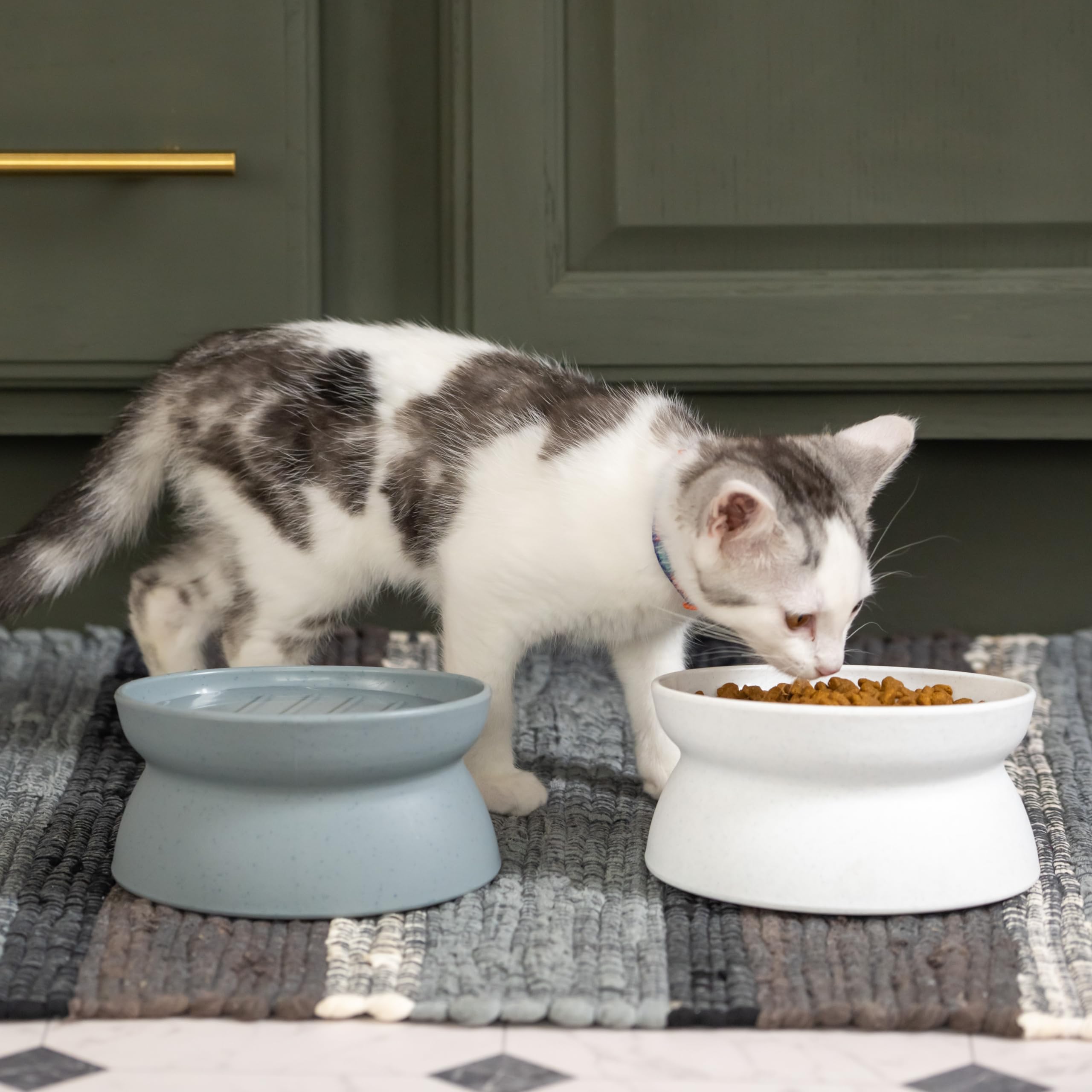 Kitty City Raised Cat Food Bowl Collection/Stress Free Pet Feeder and Waterer and Slow Feed Bowls