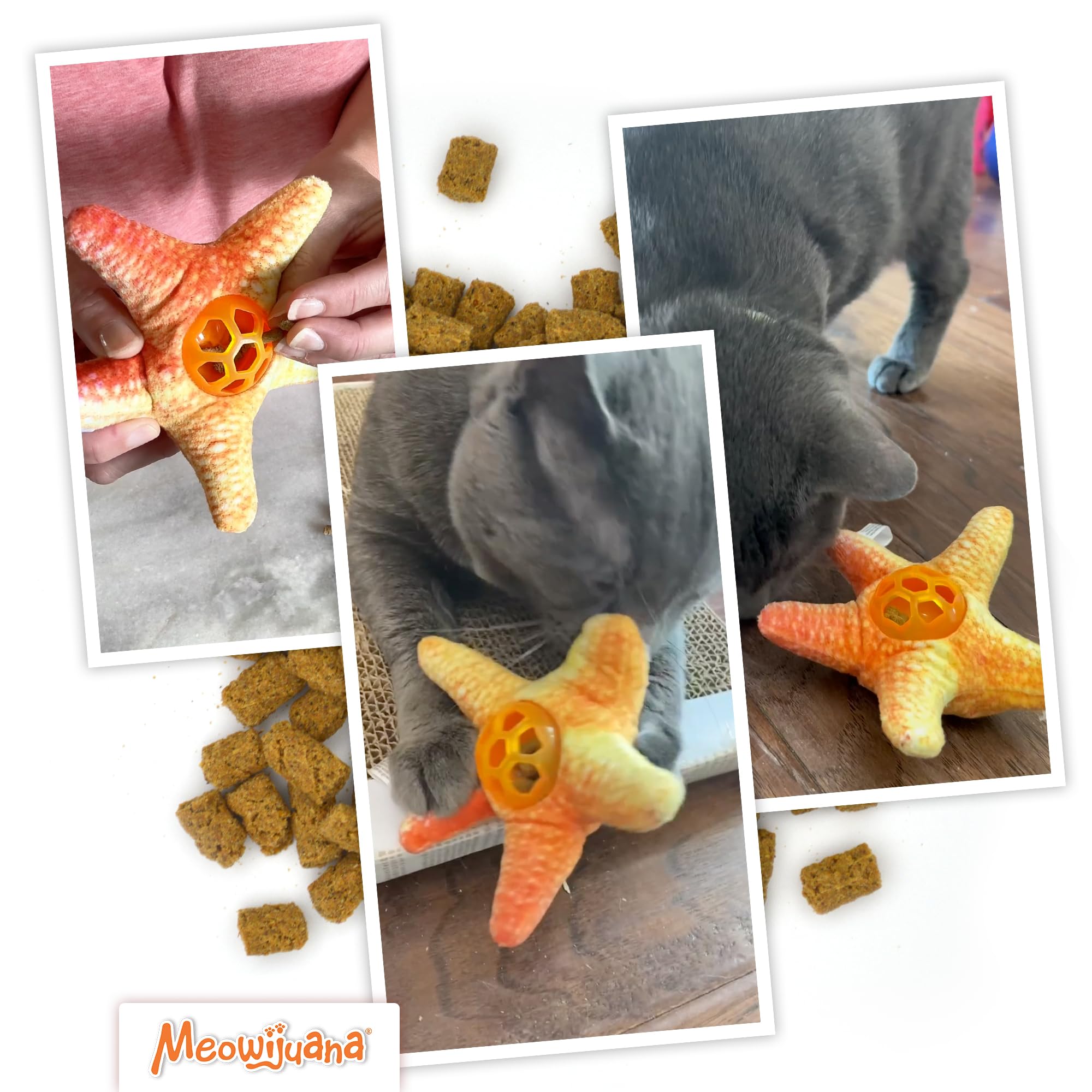 Meowijuana Knock N Nibble Starfish | Refillable Treat Dispensing Cat Toy | Promotes Play and Cat Health | Interactive Puzzle To