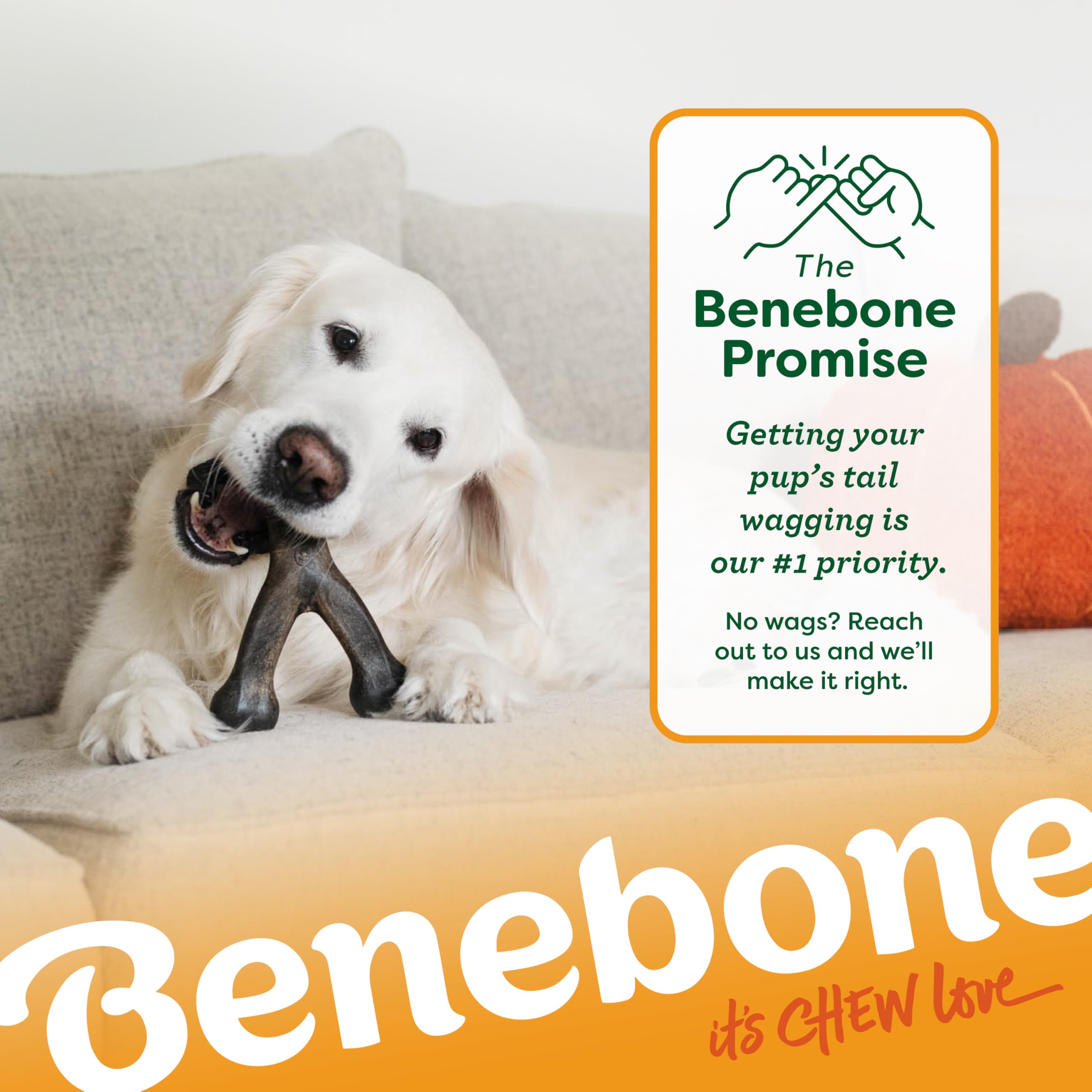Benebone Pumpkin Spice Wishbone - Limited Edition Flavor, Durable Dog Chew Toy for Aggressive Chewers, Made in USA, Large