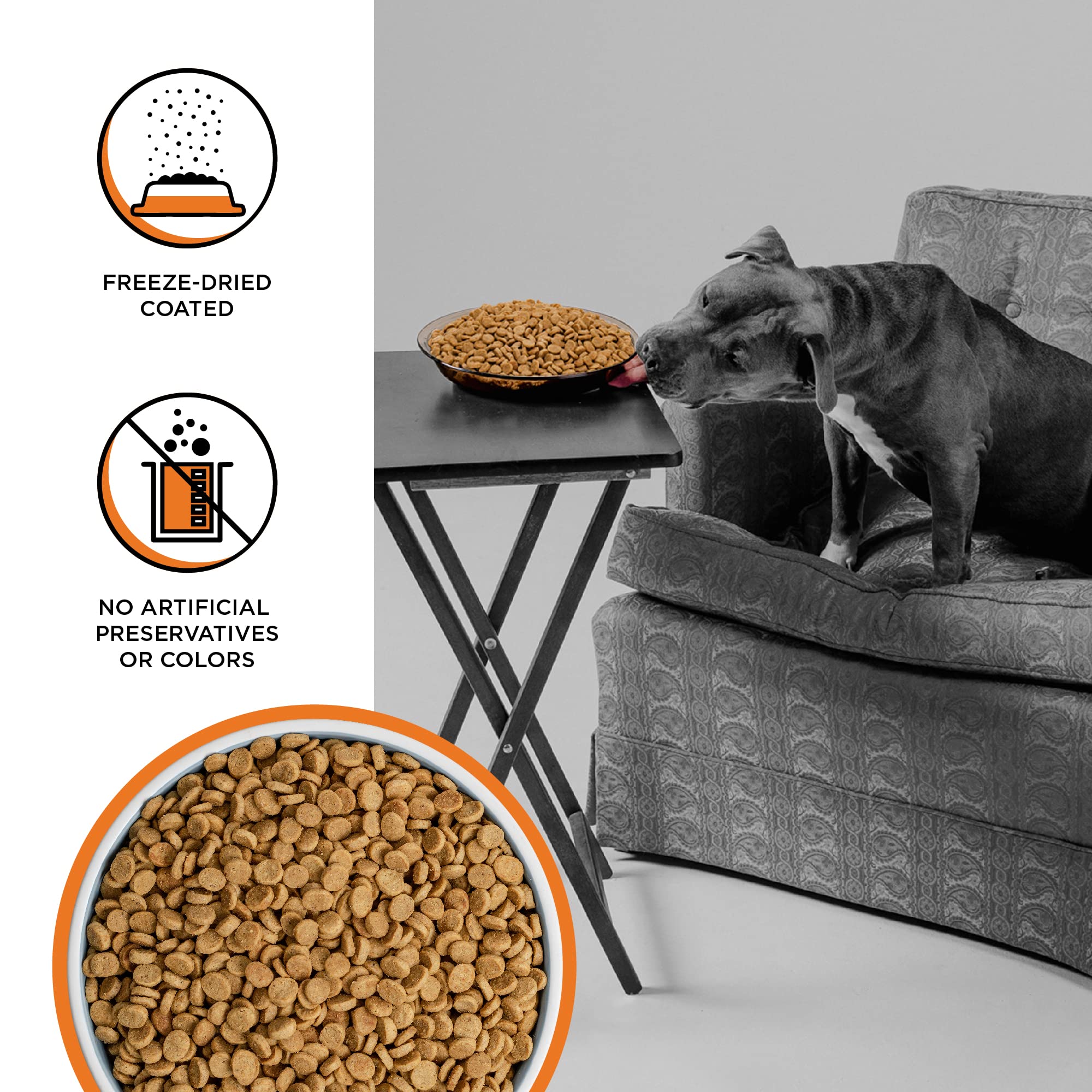 BIXBI Rawbble Dry Dog Food, Chicken, 4 lbs - USA Made with Fresh Meat - No Meat Meal & No Corn, Soy or Wheat - Freeze Dried Raw