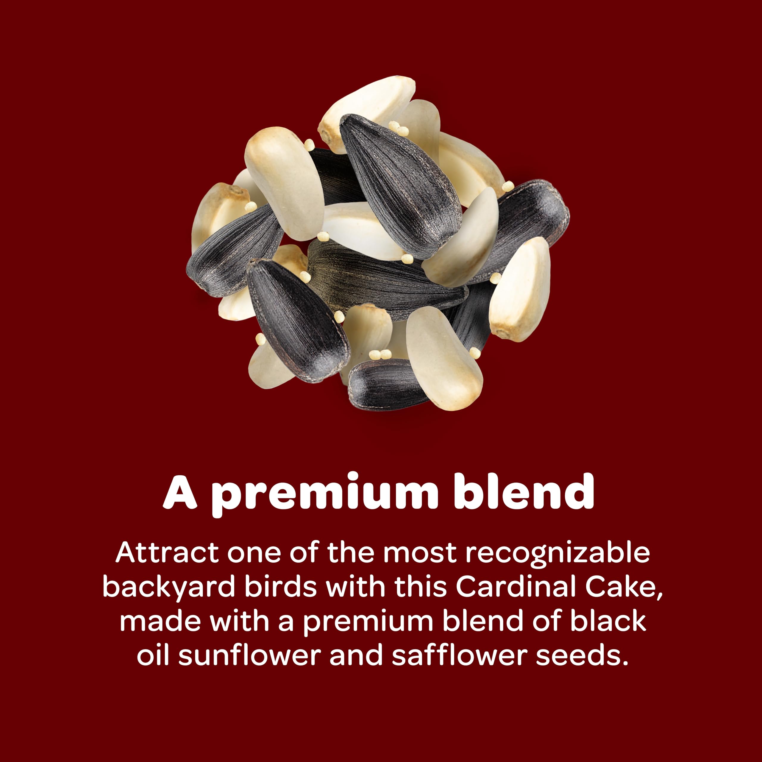 Kaytee Cardinal Wild Bird Seed Cake 1.85 Pounds 4 Count