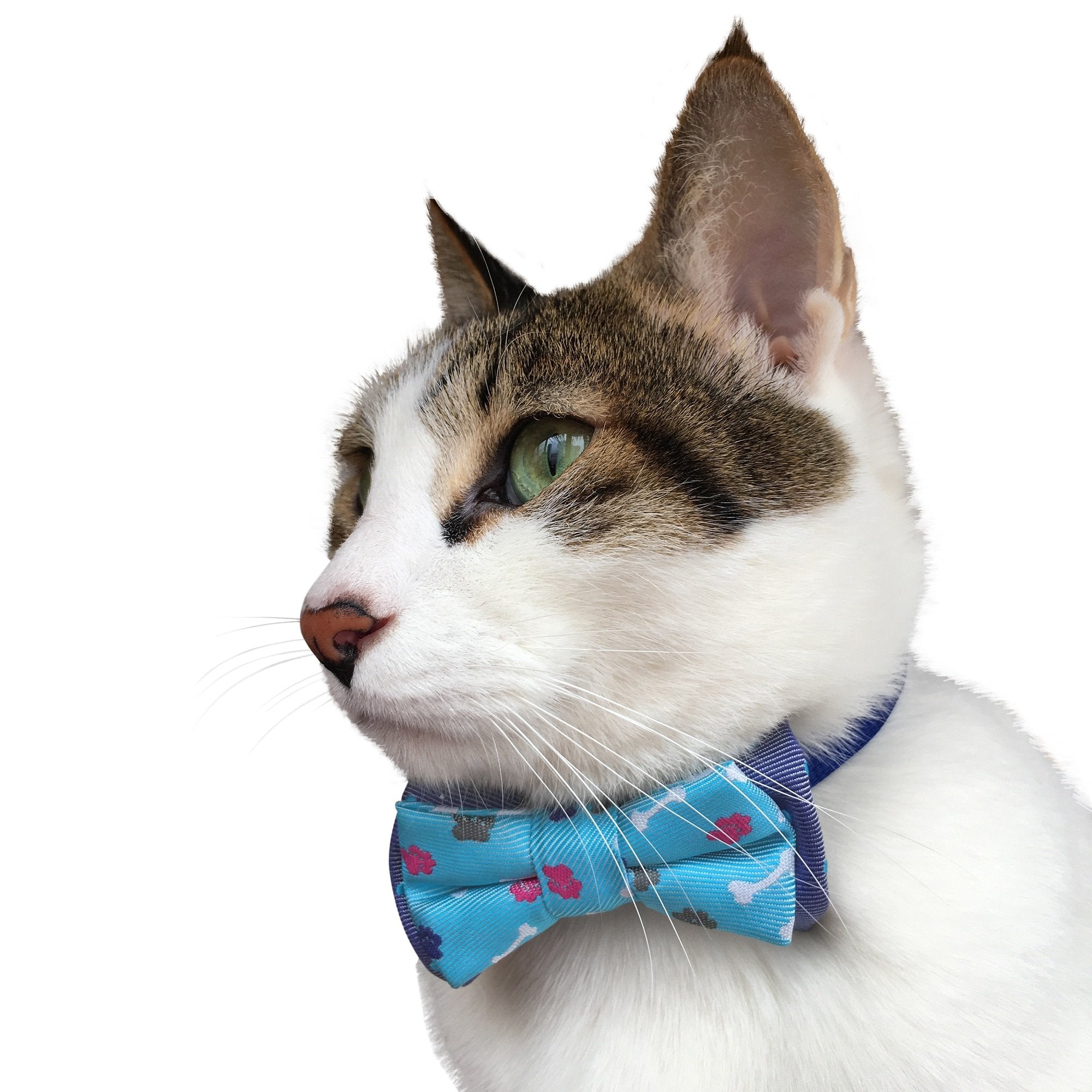 Blueberry Pet Gift Box With Pack Of 2 Handmade Dog Cat Bow Tie, Go For Fun Designer Bowtie Set, 4' * 2.5'