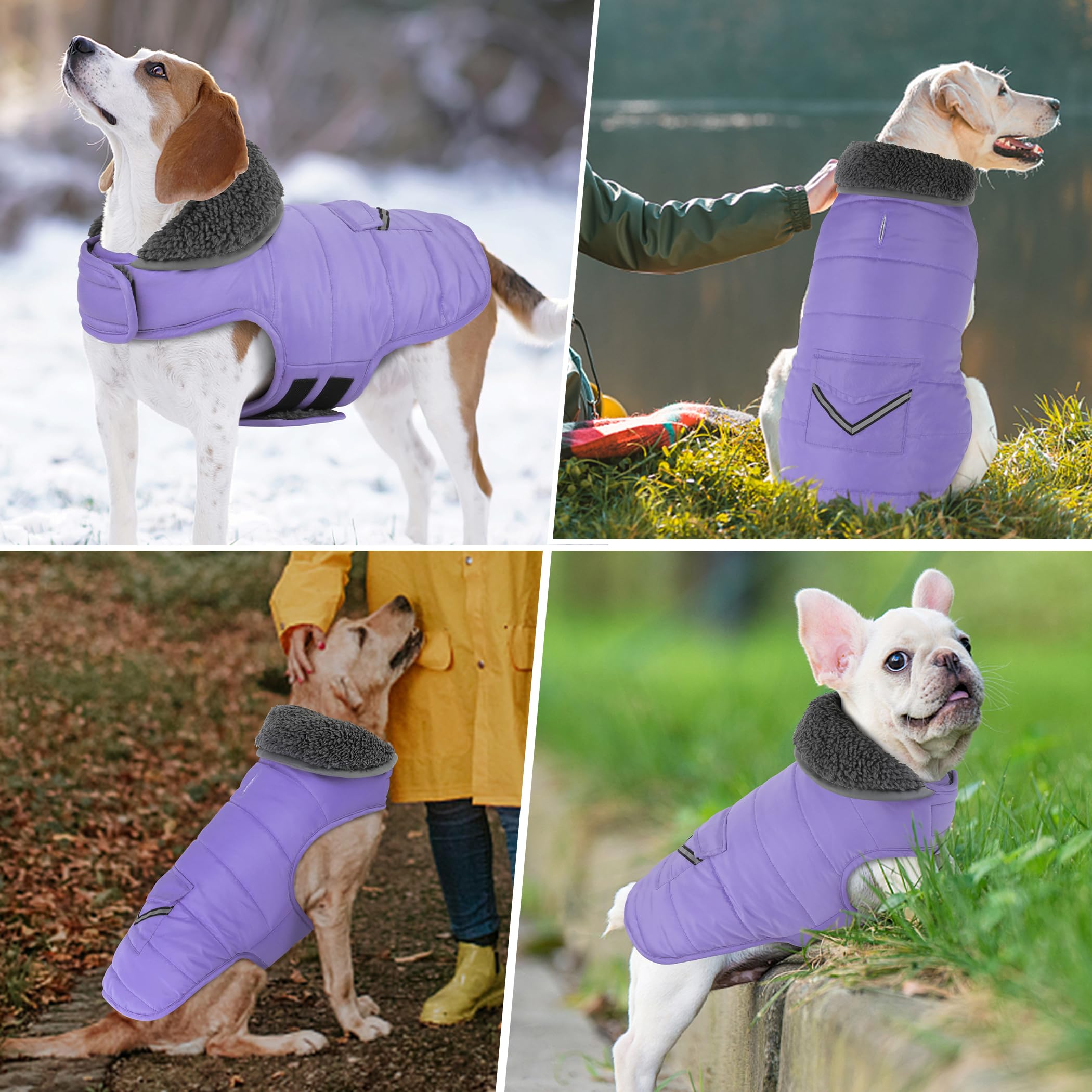 Petglad Waterproof Dog Coat - Reflective Adjustable Jacket, Warm Fleece Vest for XS Dogs, Light Purple