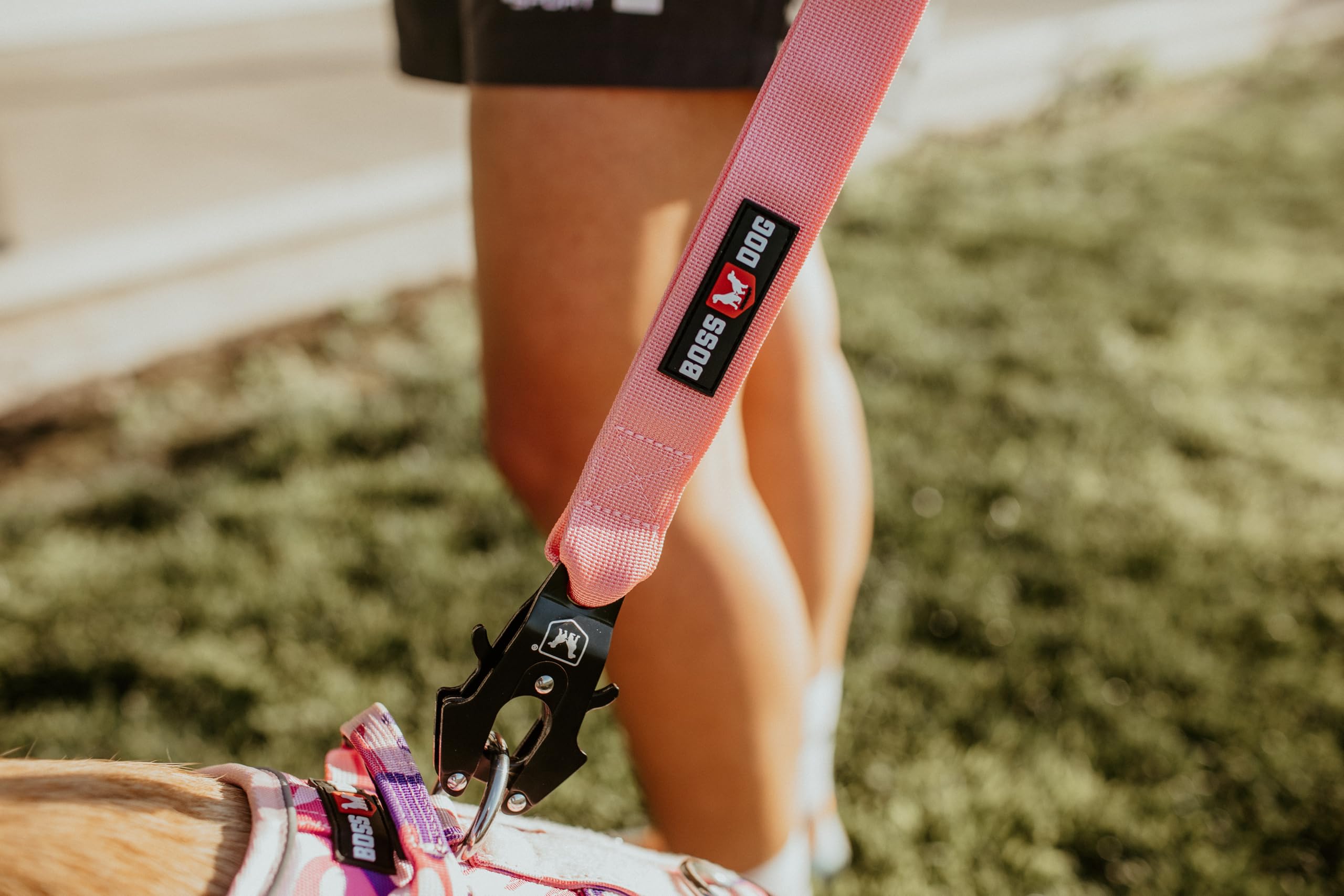 Boss Dog Tactical Leash, Pink, 6 Ft