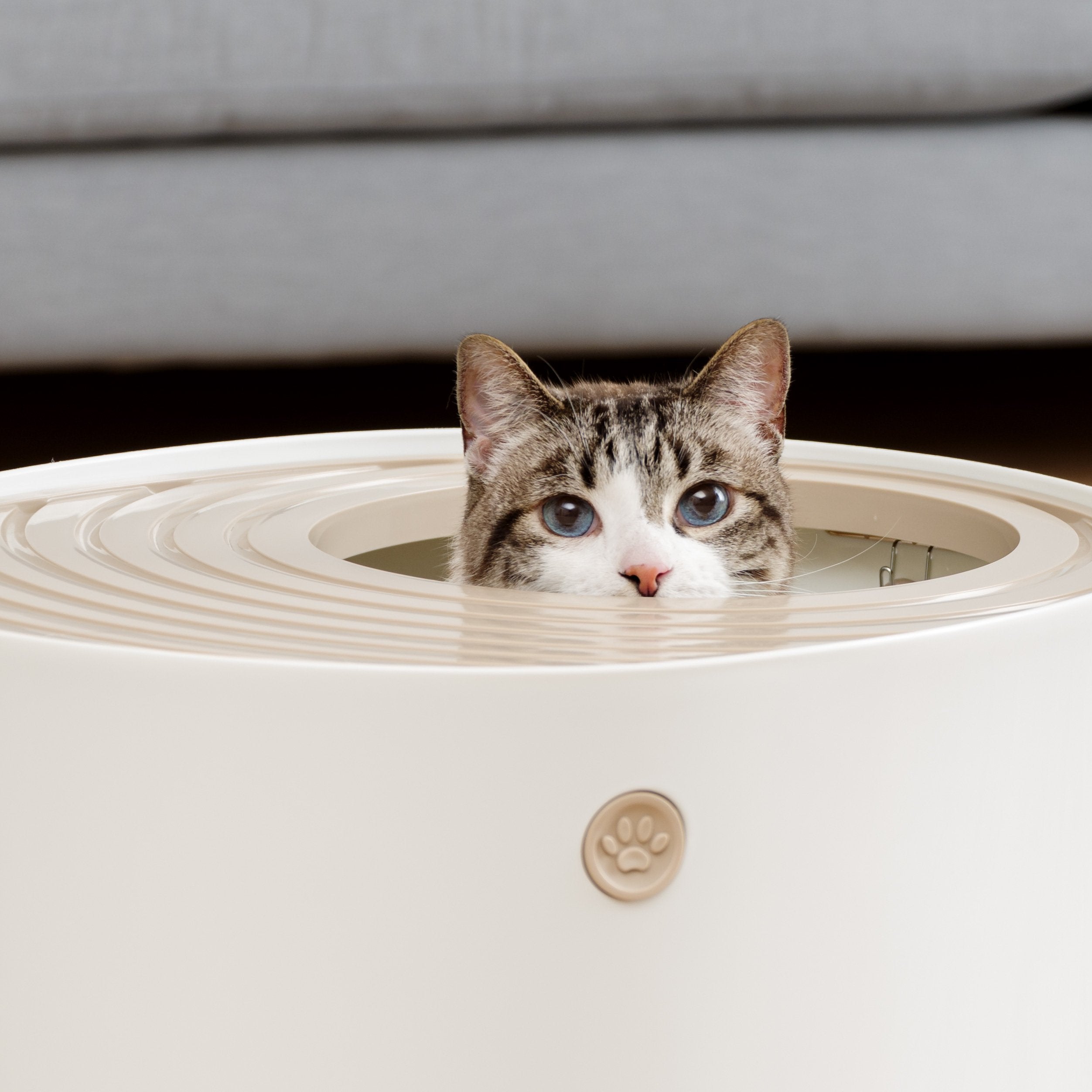 Iris Usa Cat Litter Box, Top Entry Litter Box With Scoop, Stylish Round Cat Litter Box Enclosure, Kitty Litter Box, White/Beige