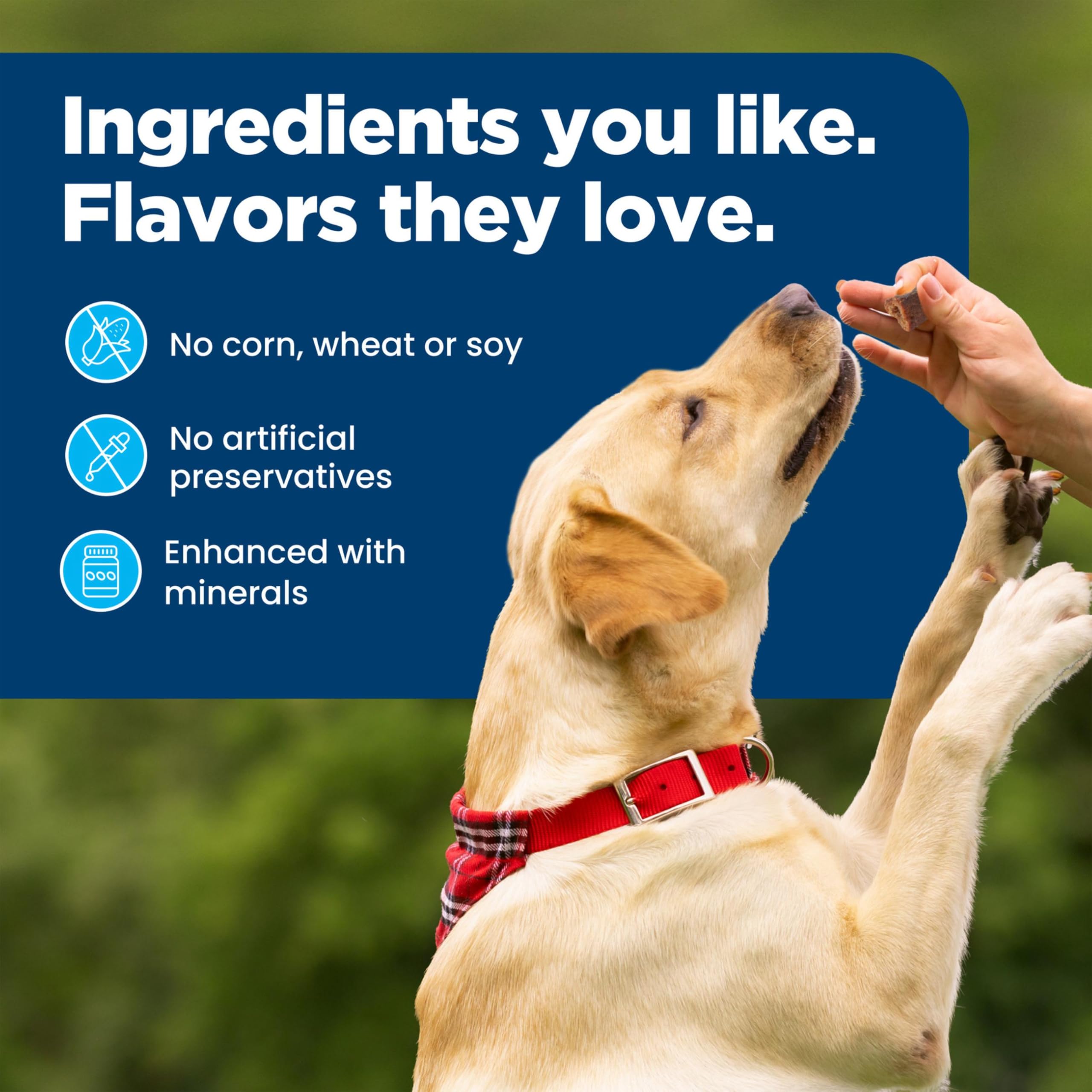 Blue Buffalo Nudges On The Go Dog Treats, Made in the USA with Natural Ingredients, Chicken, 5.5-oz. Bag