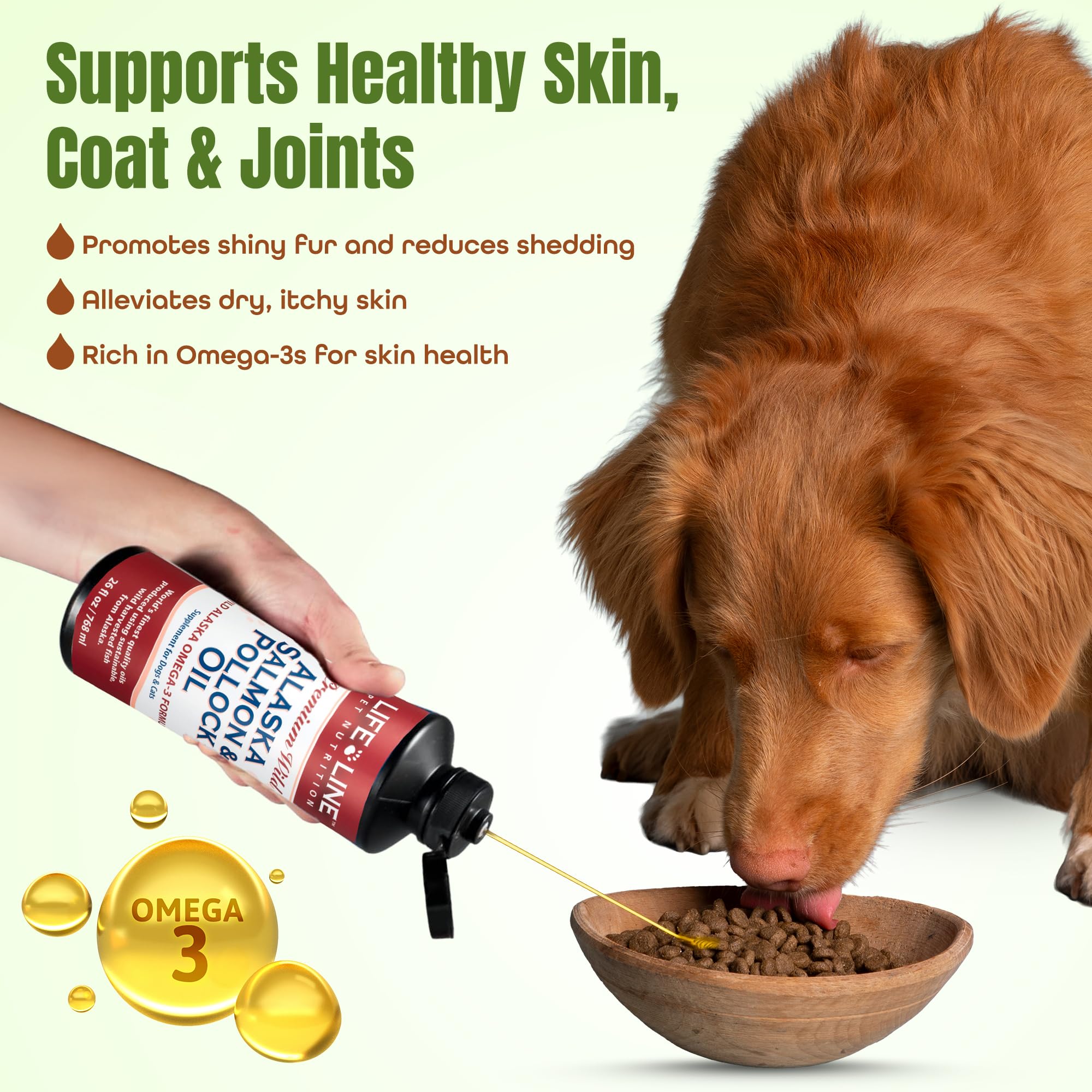 Wild Alaska Omega-3 Formula 26oz