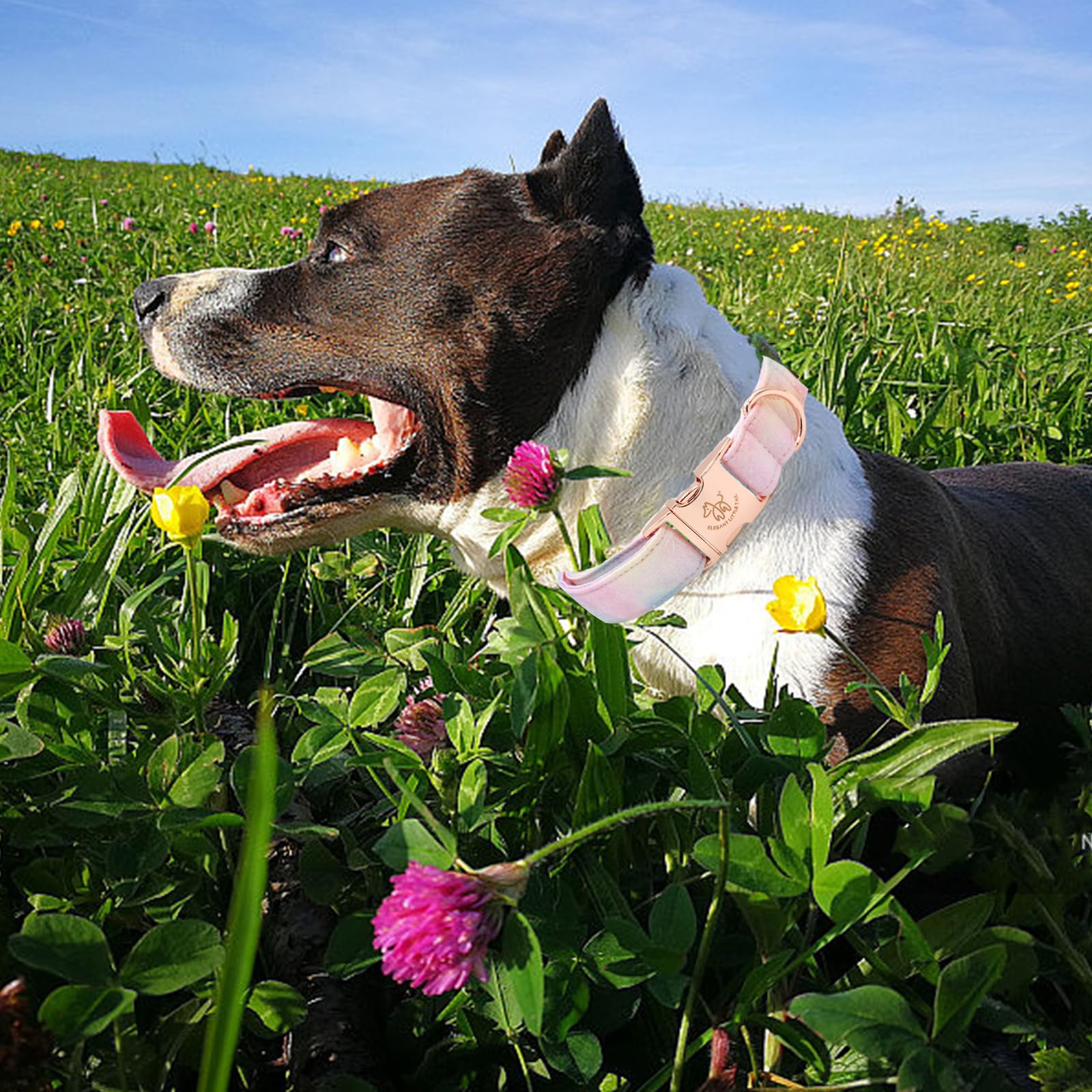 Elegant Pink Floral Print Summer Dog Collar - Cotton, Durable Metal Buckle Collar For Medium Dogs