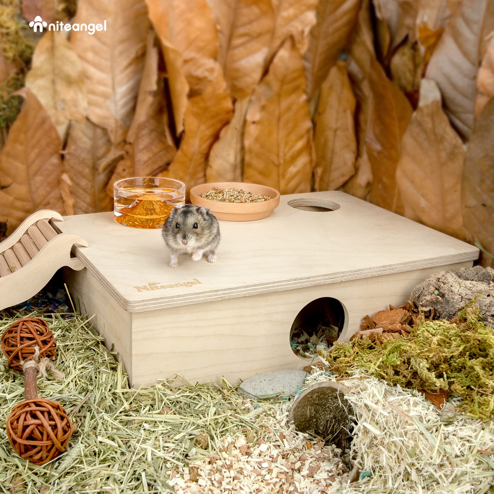 Niteangel Multi-Chamber Hamster House Maze: - Multi-Room Hideouts & Tunnel Exploring Toys for Hamster Gerbils Mice Lemmings (6-R
