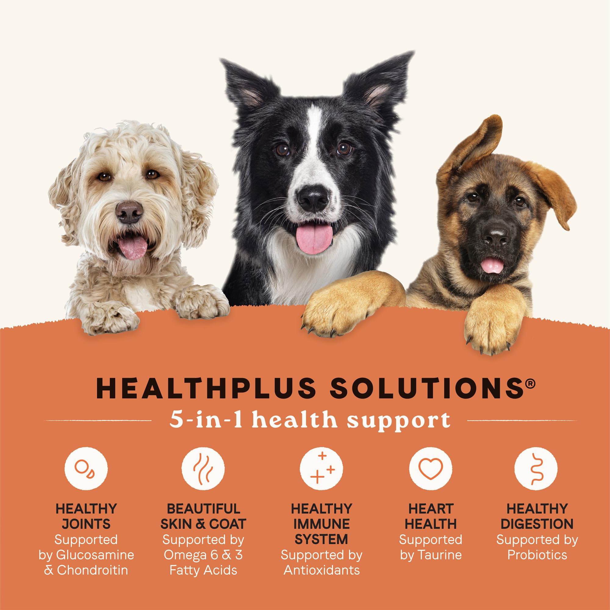 Canidae All Life Stages Multi-Protein Recipe with Chicken, Turkey, Lamb, and Fish - High Protein Premium Dry Dog Food for All Ag
