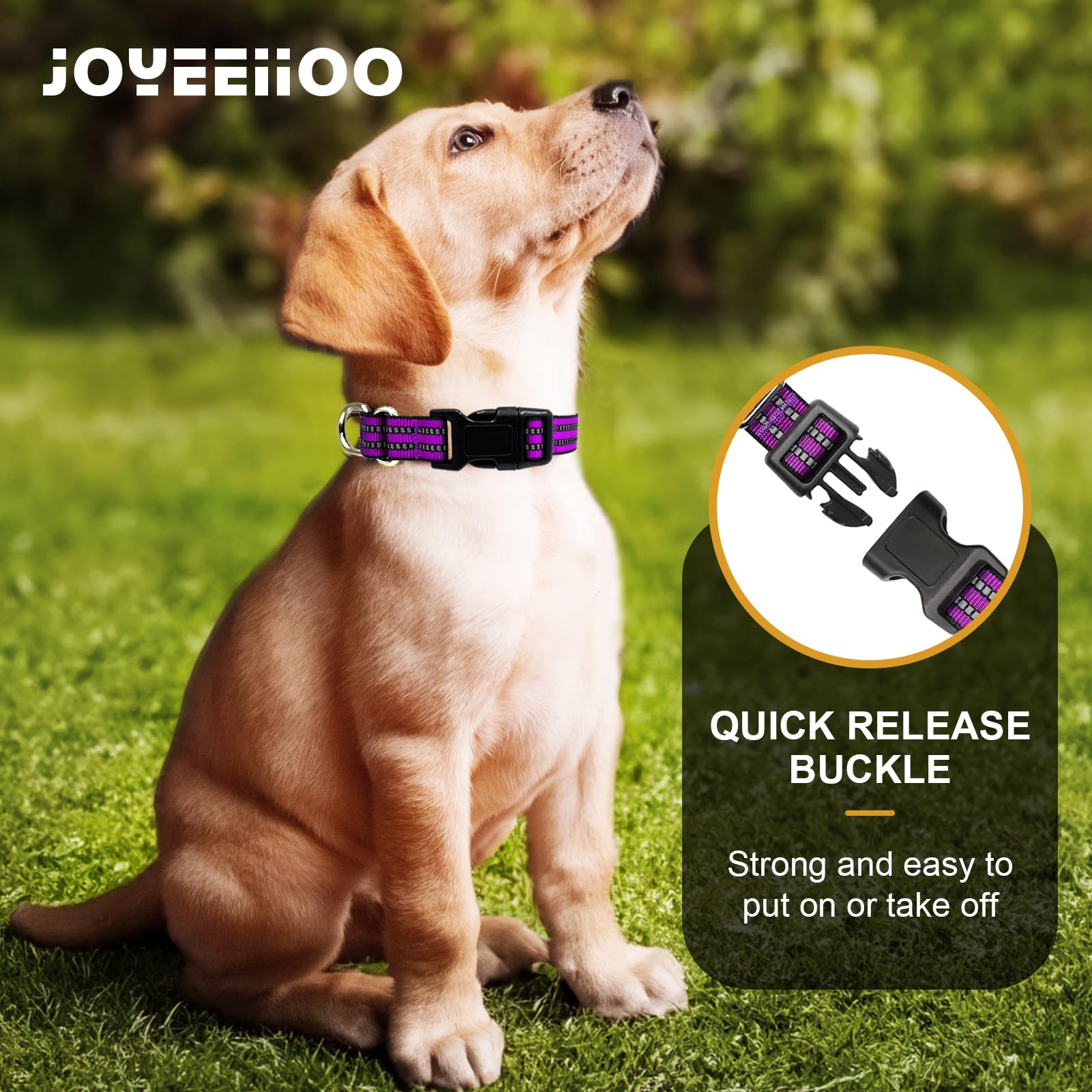 Joyeeiioo Martingale Dog Collar, Adjustable Nylon Reflective Collar With Quick Release Buckle (Real Purple, Large)