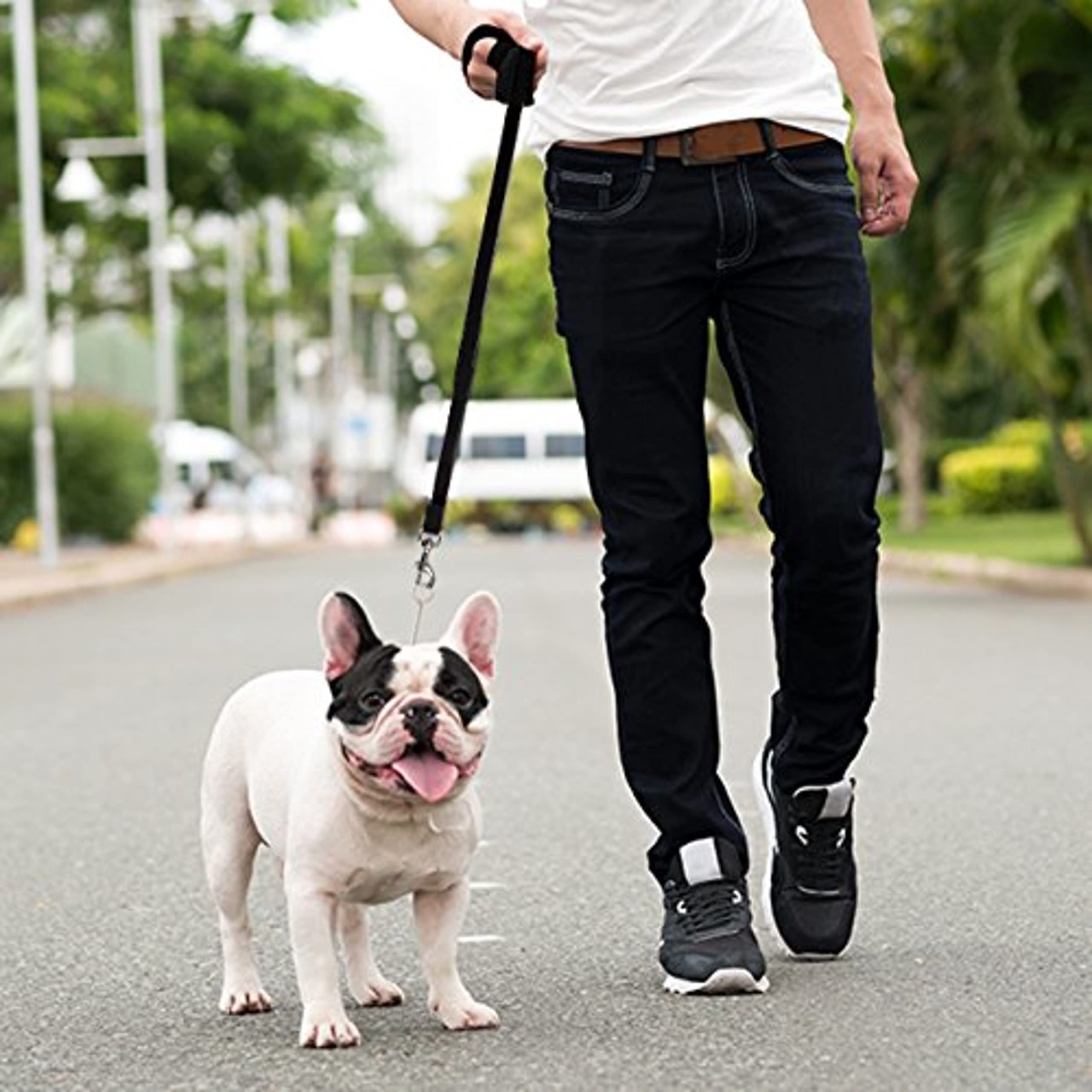 Downtown Pet Supply - Long Dog Leash - Dog Training Leash - Recall & Obedience Dog Training Tools - Nylon - 150 ft - Black Dog L