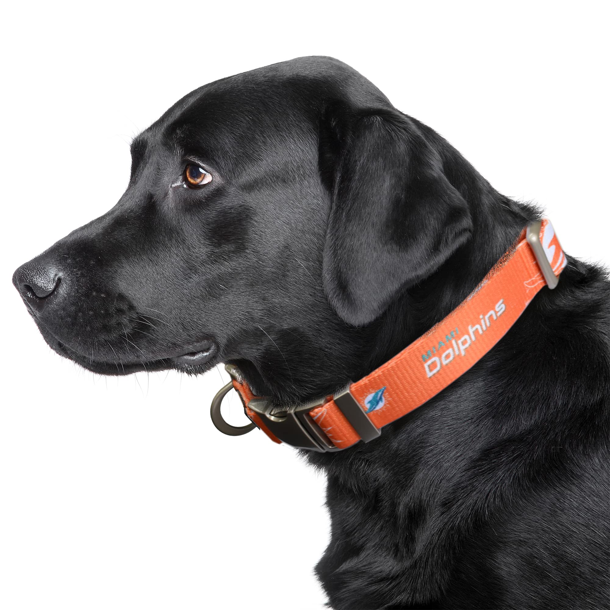 Littlearth Miami Dolphins Nfl Premium Pet Collar