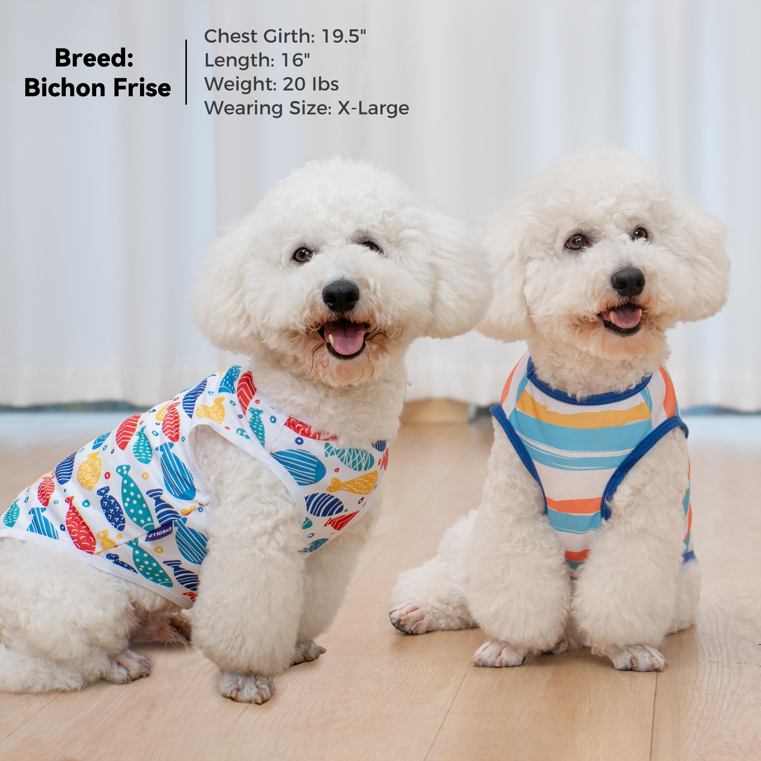 Cyeollo 2Pack Dog Cooling Shirt, Breathable Sleeveless Summer Clothes For Dogs, Intant Cool T Shirts For Small Dogs, Blue Fish L