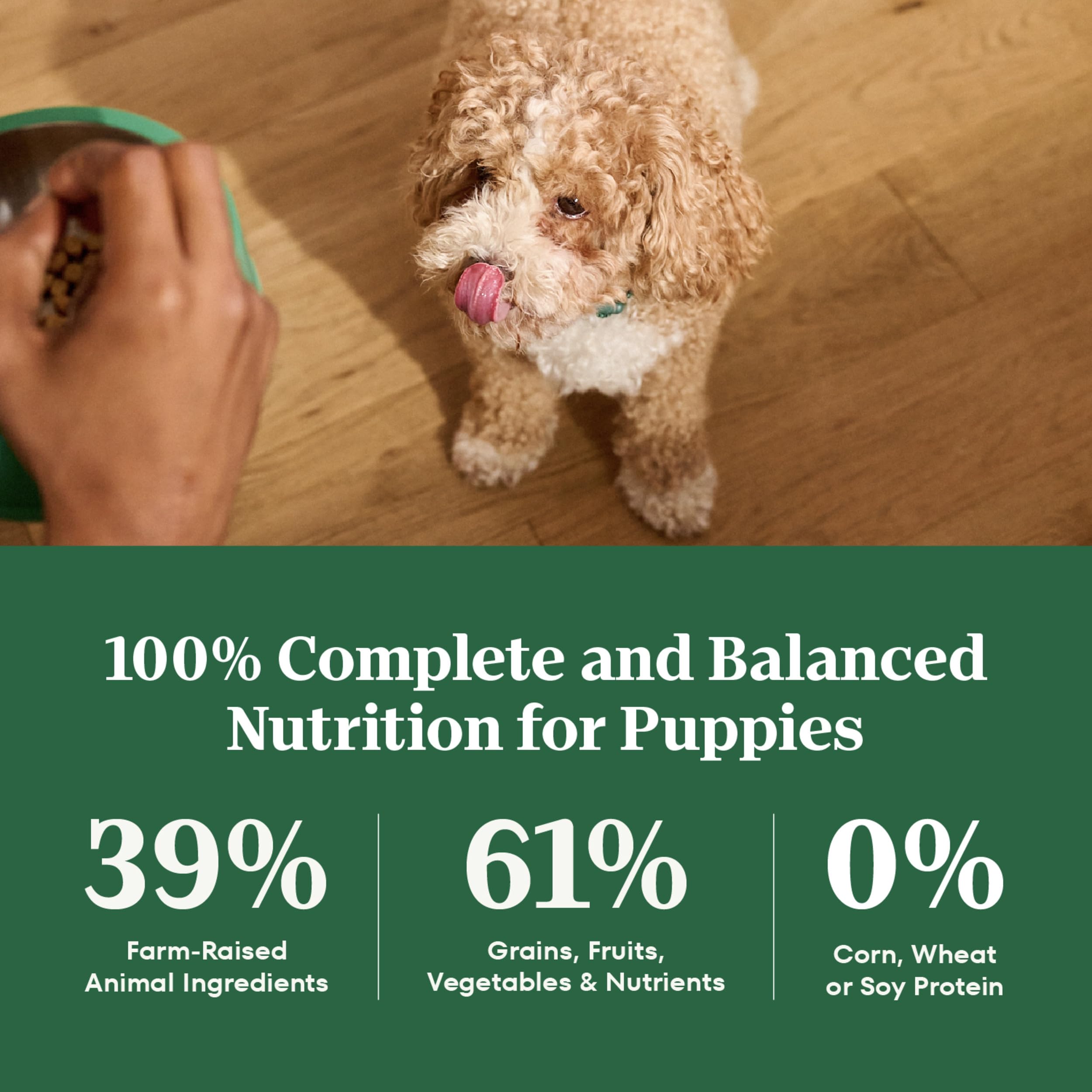 Nutro Natural Choice Puppy Dry Dog Food, Lamb and Brown Rice Recipe, 45 lbs.