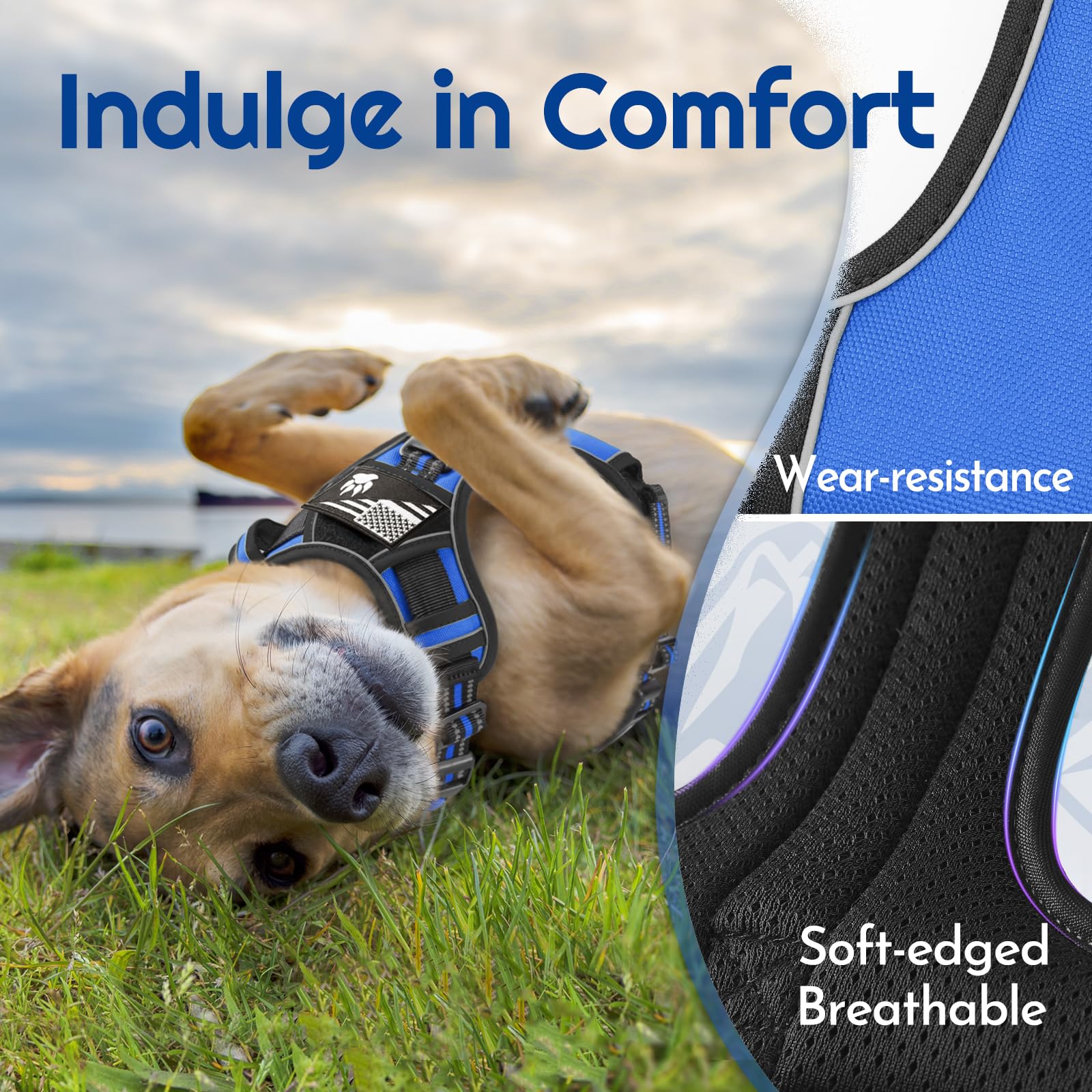 Eagloo Dog Harness Medium Sized, Easy Wearing with 3 Buckles, Adjustable No Pull Pet Harness with 2 Rings for Walking, No Chock