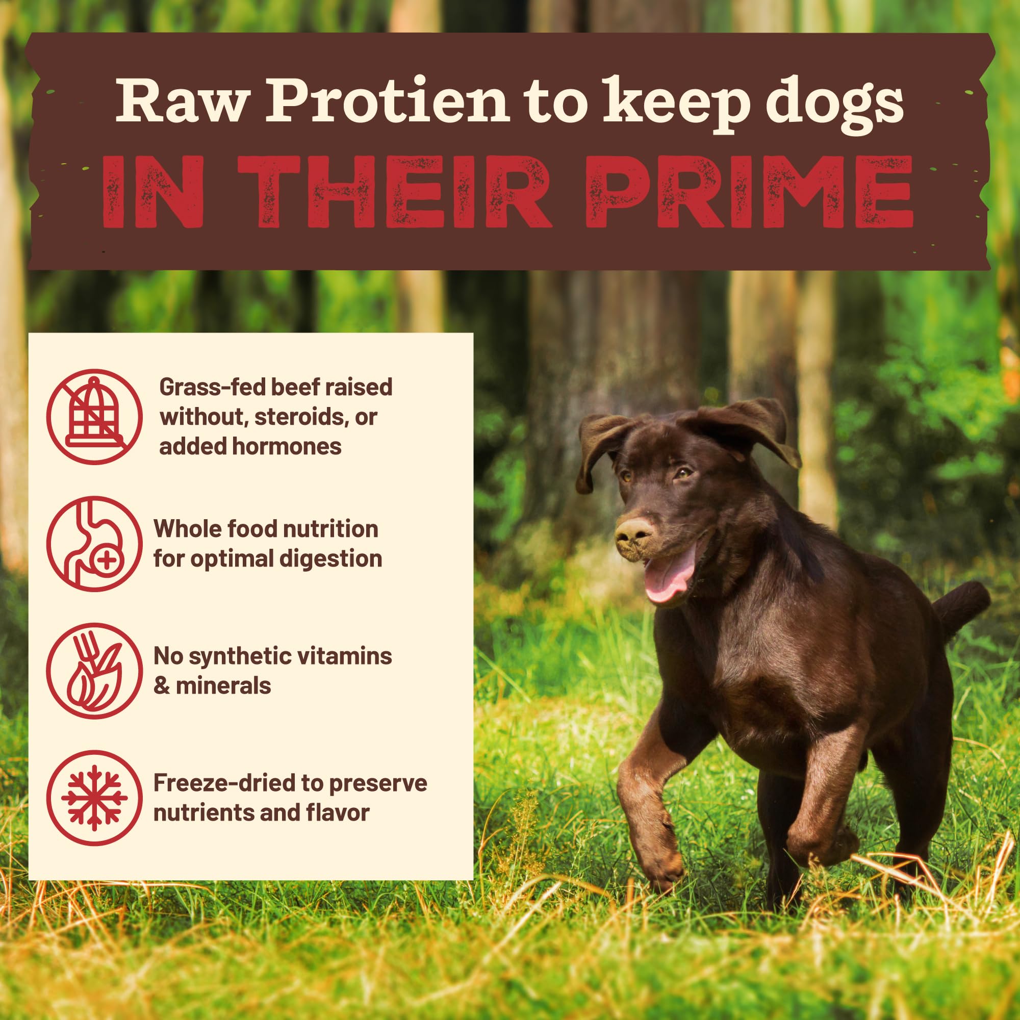 Primal Kibble in The Raw, Freeze Dried Dog Food, Beef, Scoop & Serve, Made with Raw Protein, Whole Ingredient Nutrition, Crafted