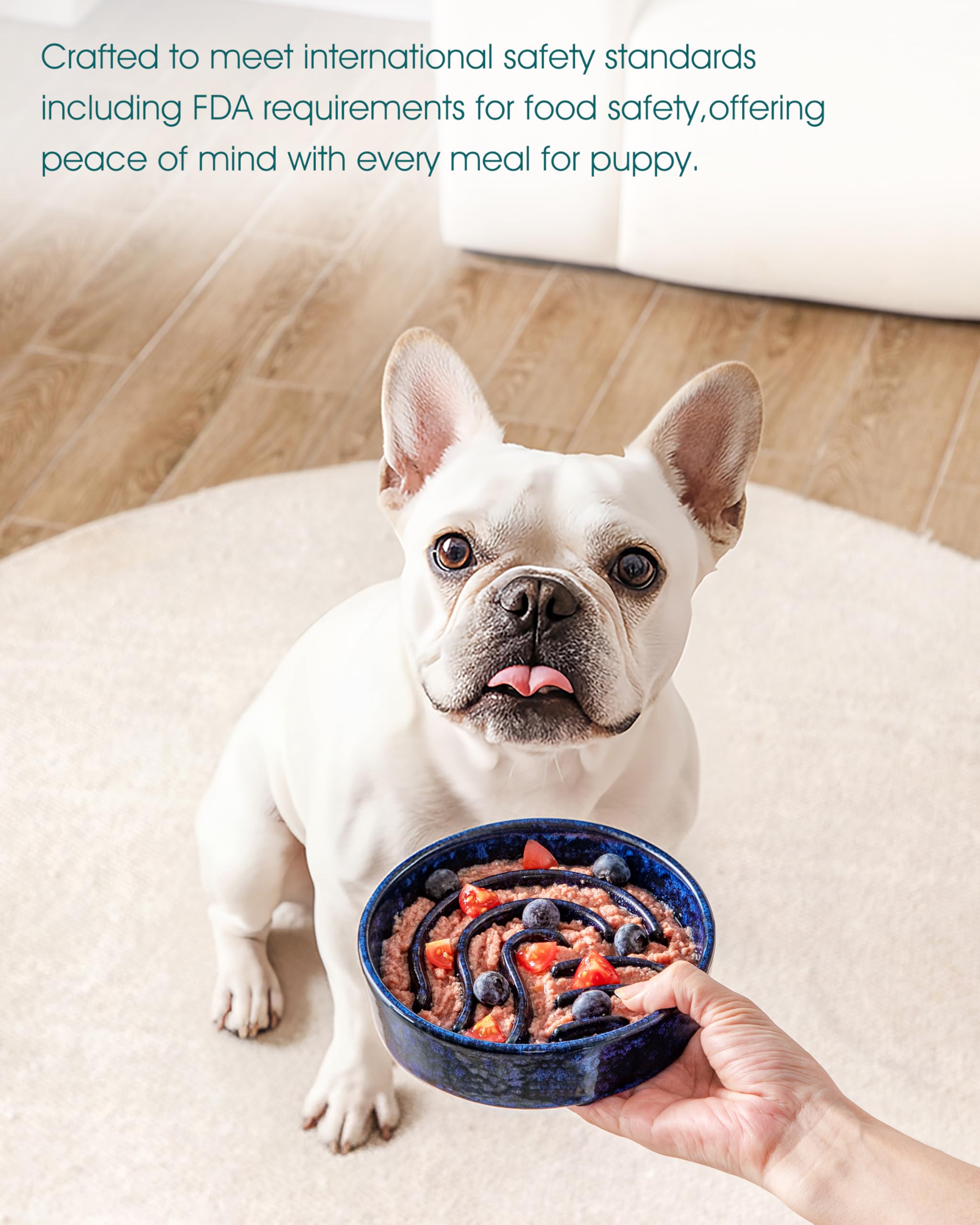 vancasso Slow Feeder Dog Bowl, 0.6 Cup Ceramic Slow Feeding Food Dish for Small Breed, Puzzle Dog Food Bowl for Fast Eater, Blue
