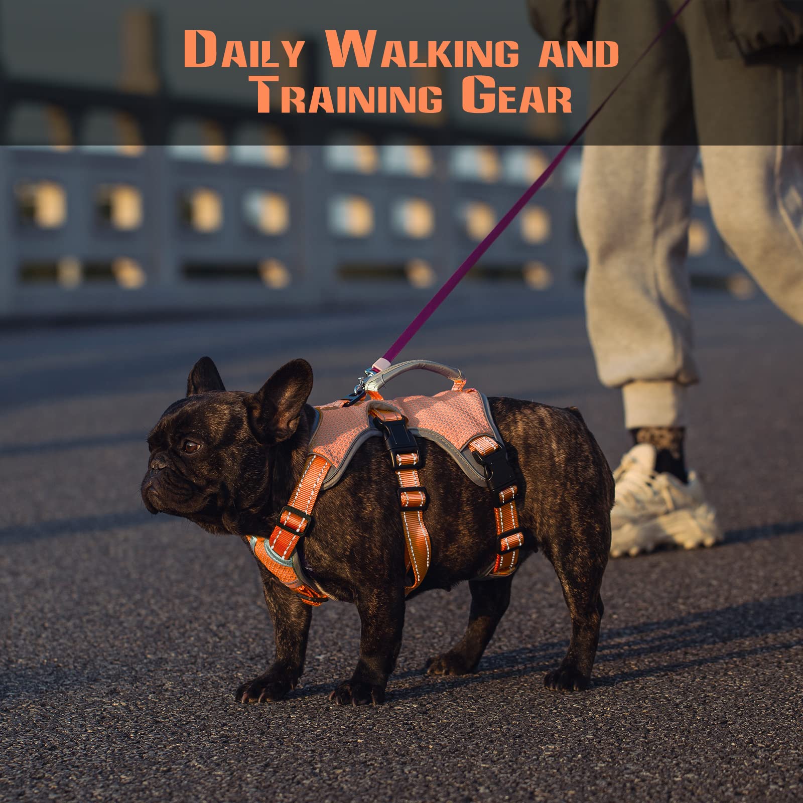 Escape Proof Dog Harness, Escape Artist Harness, Fully Reflective Harness With Padded Handle, Breathable,Durable, Adjustable Vest For Small Dogs Walking, Training, And Running Gear Orange (Small)