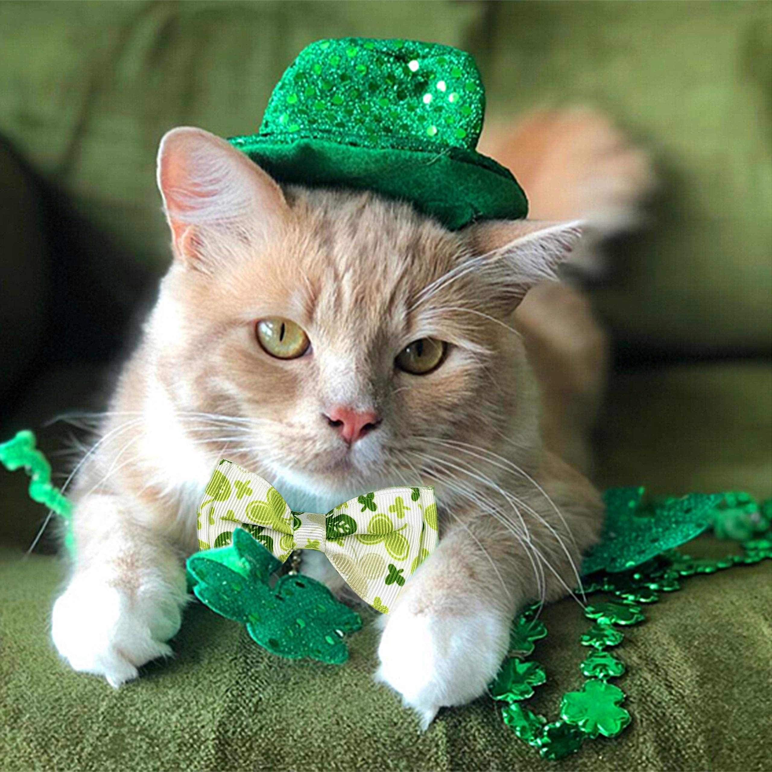 Pohshido 2 Pack St. Patrick'S Cat Collar With Bow Tie And Bell, Kitty Kitten Breakaway Lucky Irish Shamrock Collar For Girls And