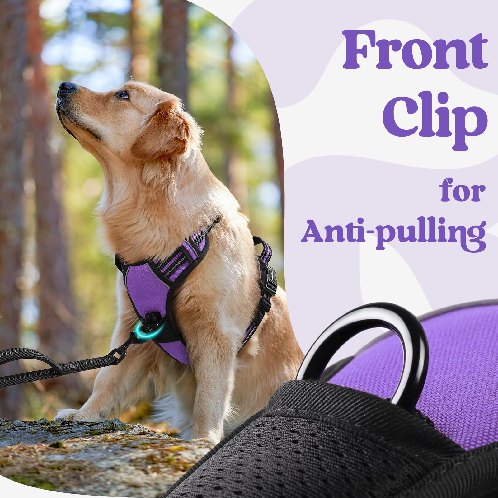 Rabbitgoo Dog Harness Medium Sized, No Pull Pet Harness With 3 Buckles, Adjustable Soft Padded Pooch Vest With Instant Control Handle, Easy Walking Reflective Pet Vest For Medium Dogs, Purple, M