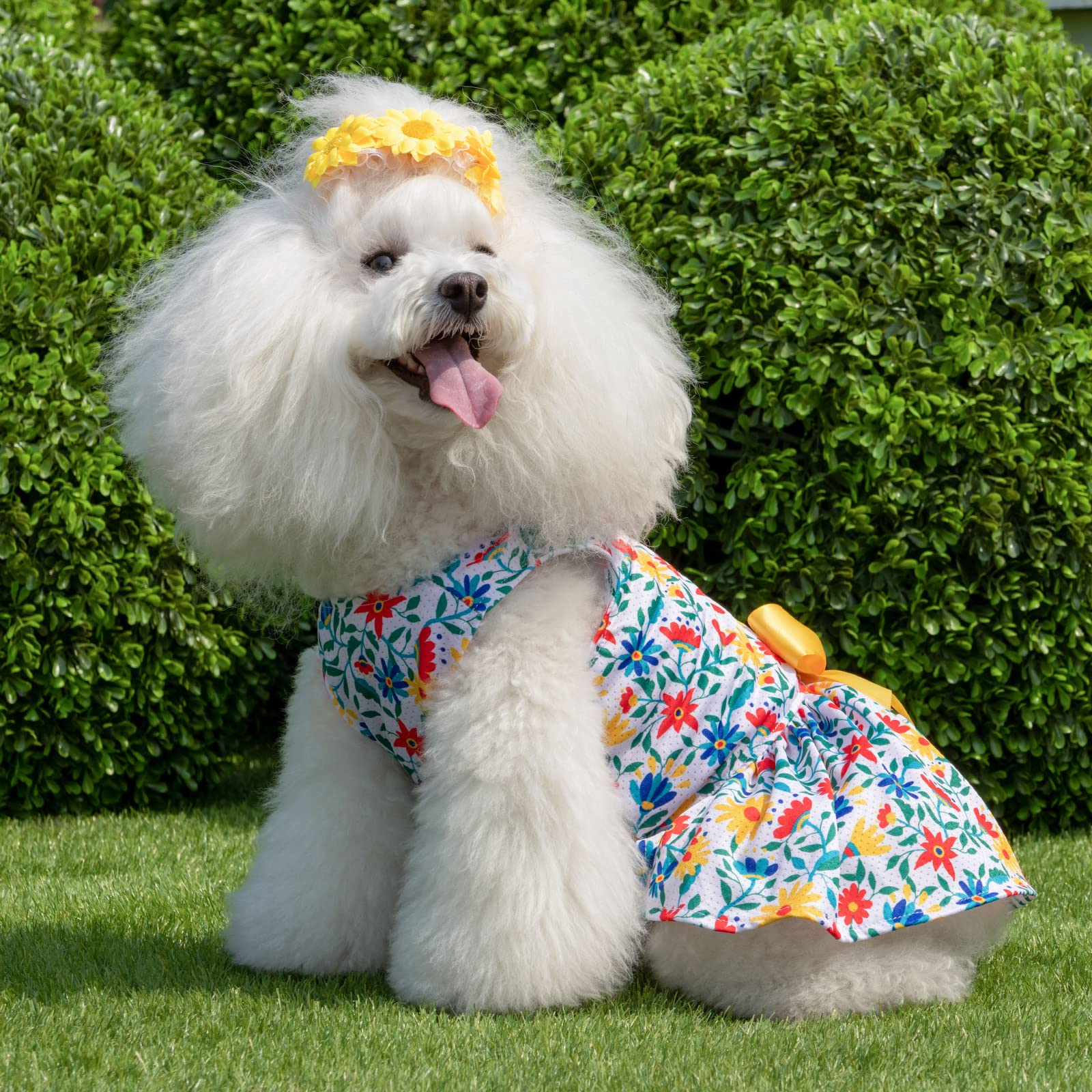 Cutebone Dog Mesh Dress Puppy Sundress Pet Outfit Summer Fashion For Small Dogs Girl Cat Clothes Bf20Xxs