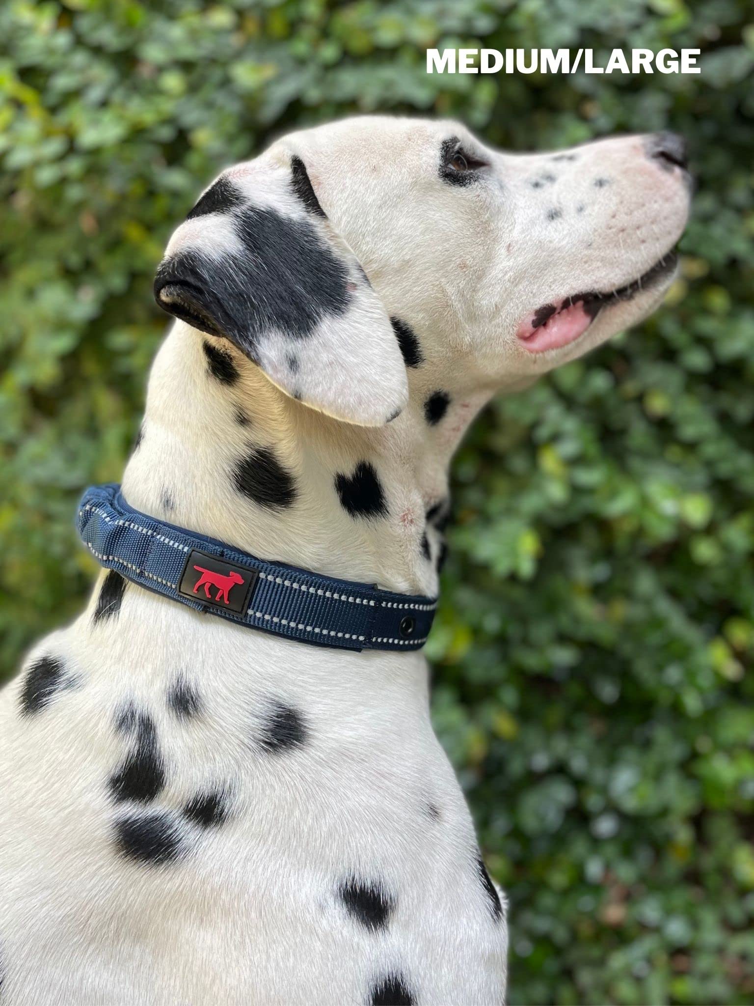 Heavy Duty Dog Collar With Handle | Ballistic Nylon Heavy Duty Collar | Padded Reflective Dog Collar With Adjustable Stainless Steel Hardware | Convenient Sizing For All Breeds